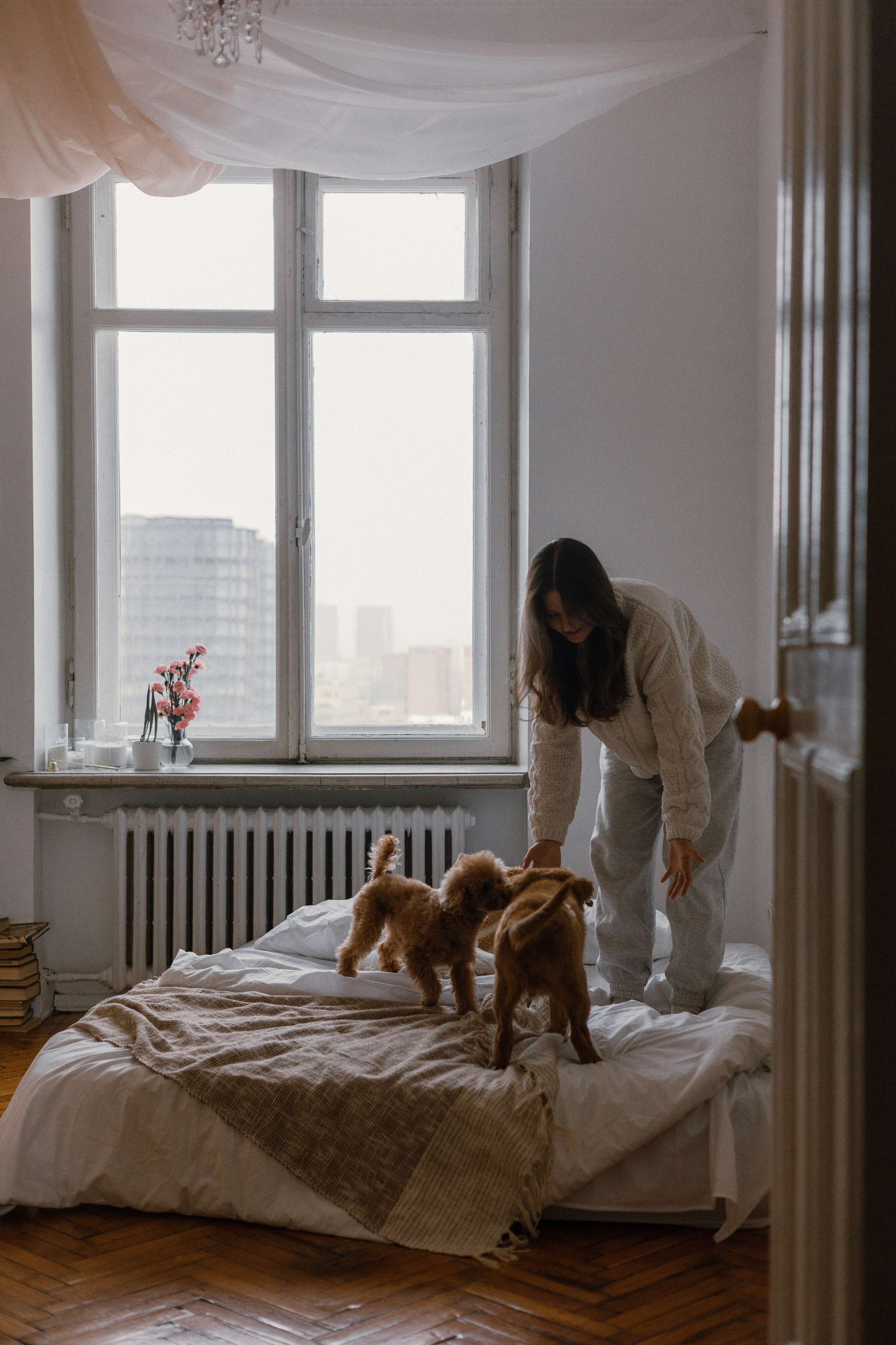 Маша, Одди и Нэвил. Фотограф-анималист Богданова Полина