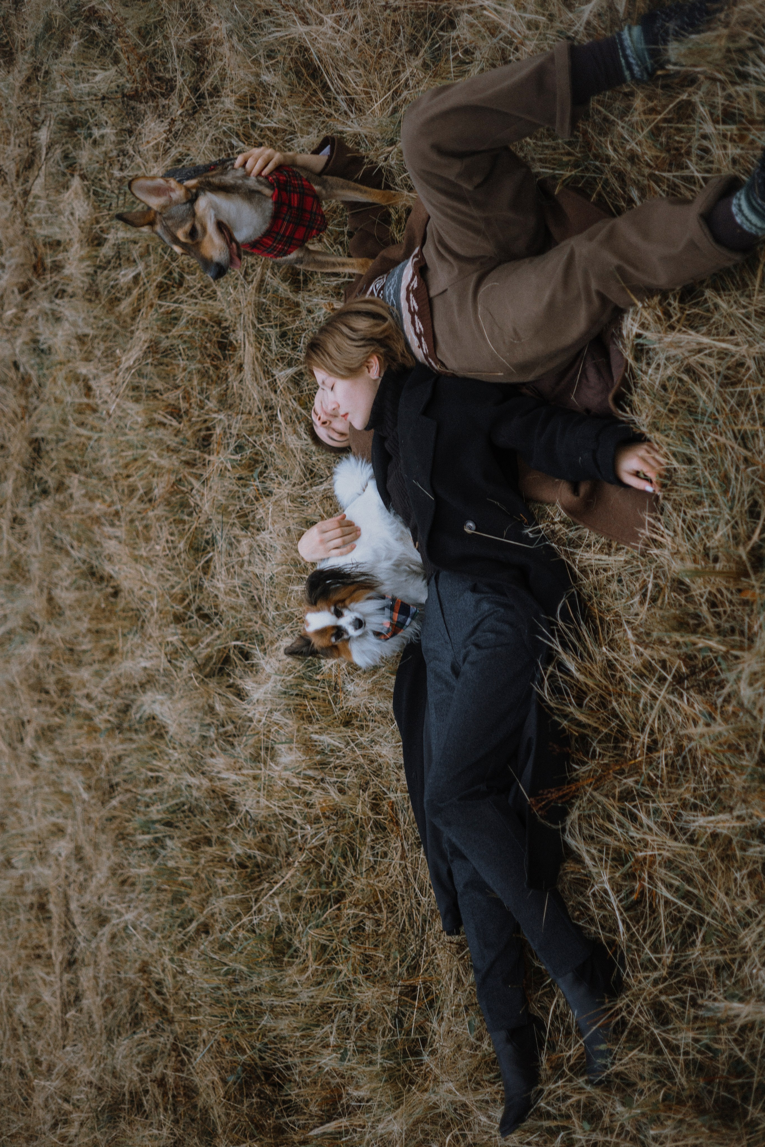 Маша, Катя, Астрид и Мася. Фотограф-анималист Богданова Полина