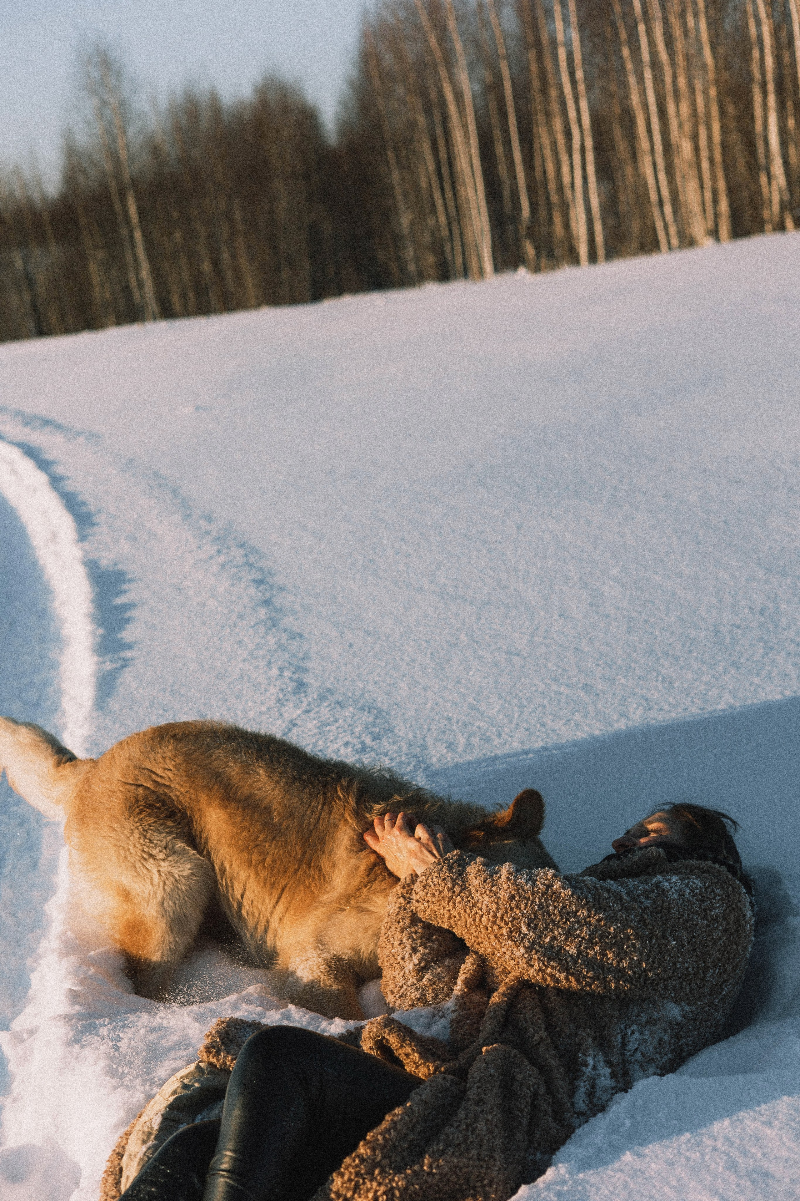 Лена и Декстер. Фотограф-анималист Богданова Полина