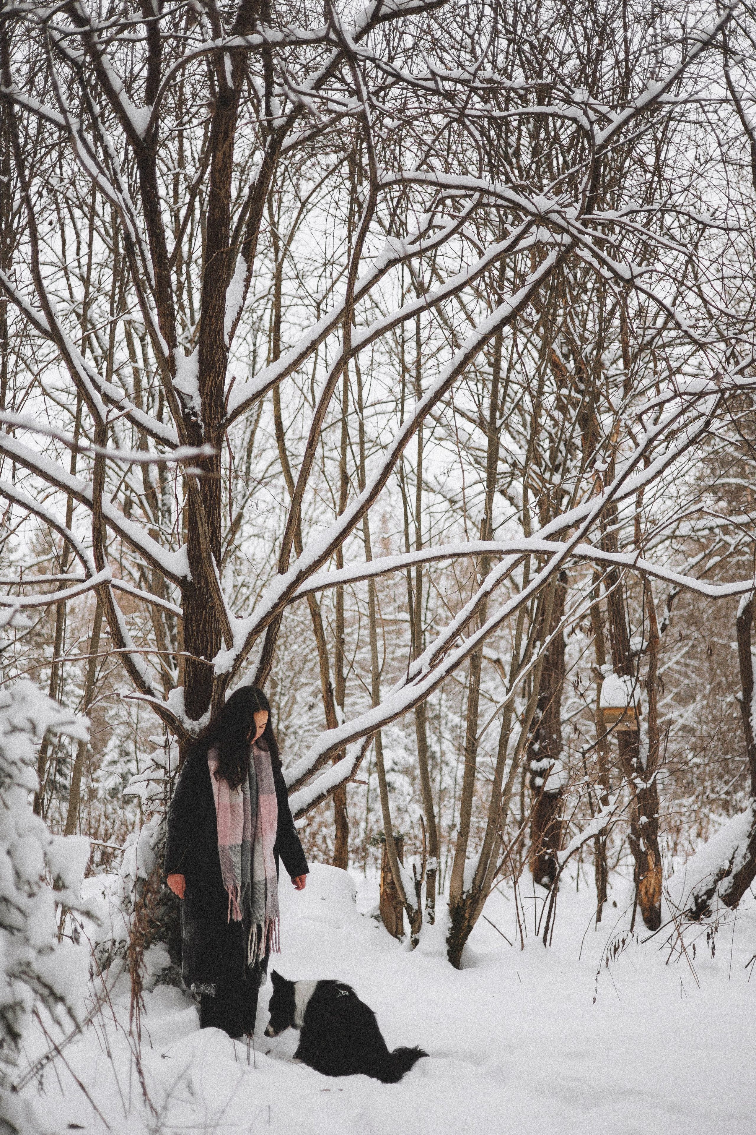 Алина и Найт. Фотограф-анималист Богданова Полина