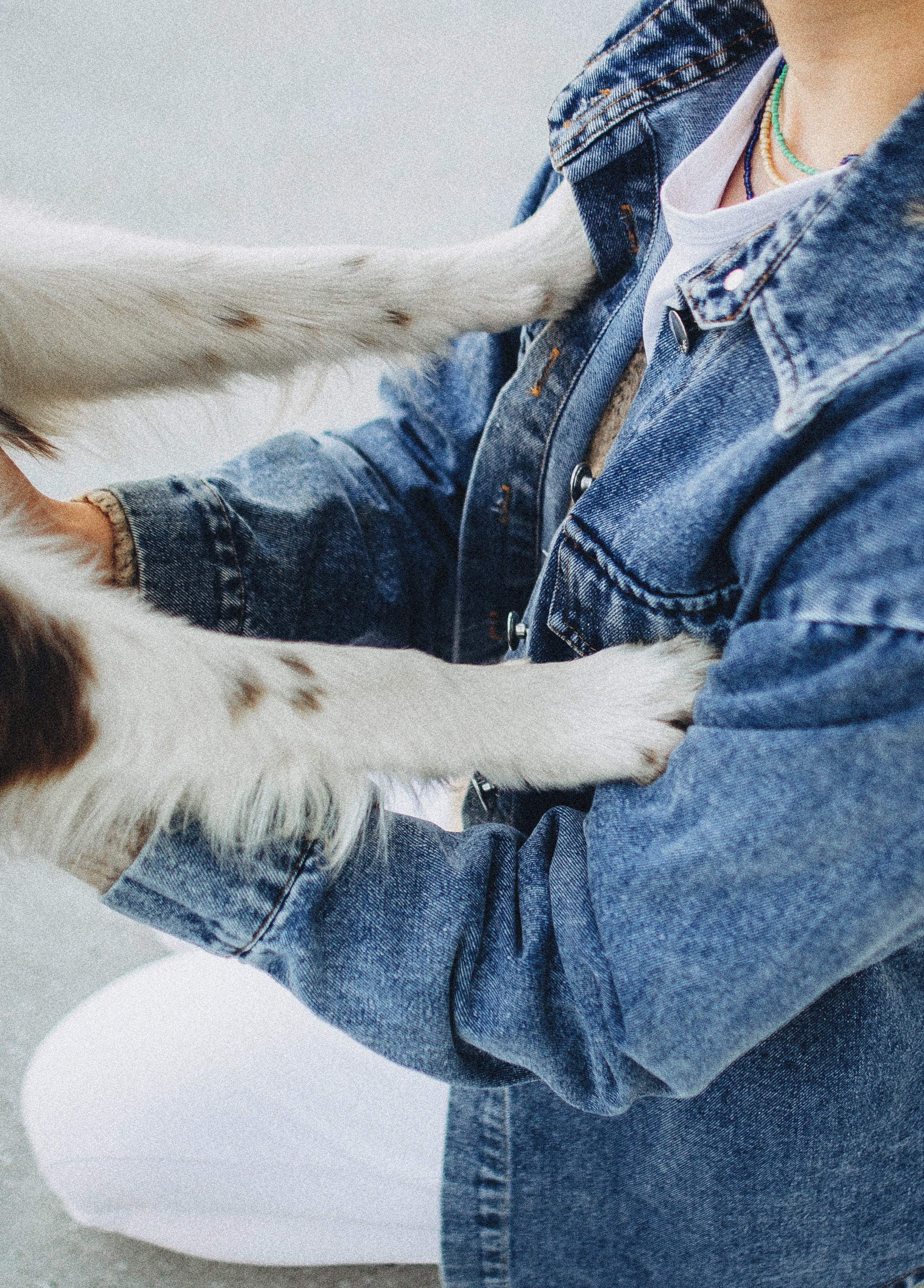 Лиза и Эни. Фотограф-анималист Богданова Полина