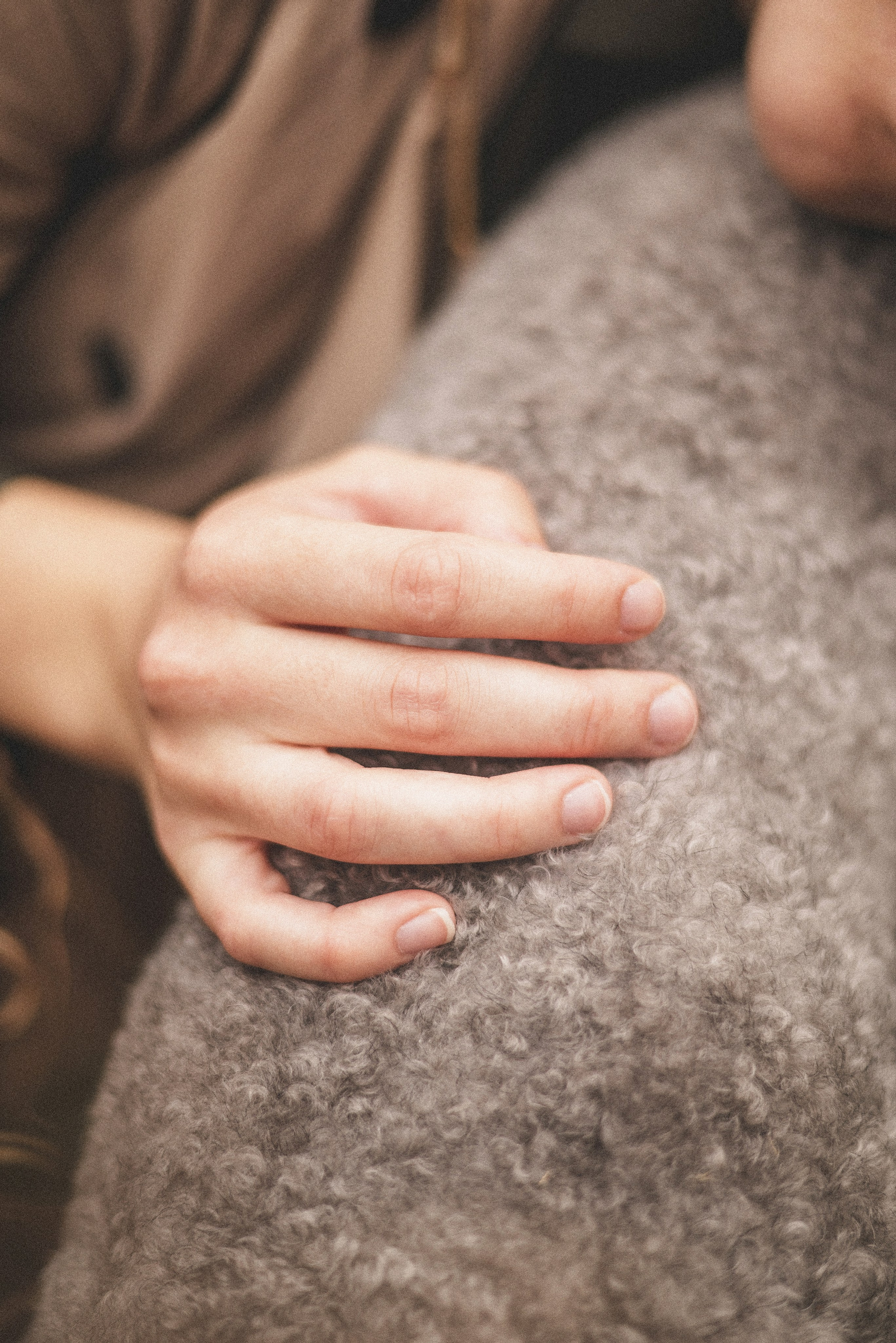 Алёна и Смоки. Фотограф-анималист Богданова Полина