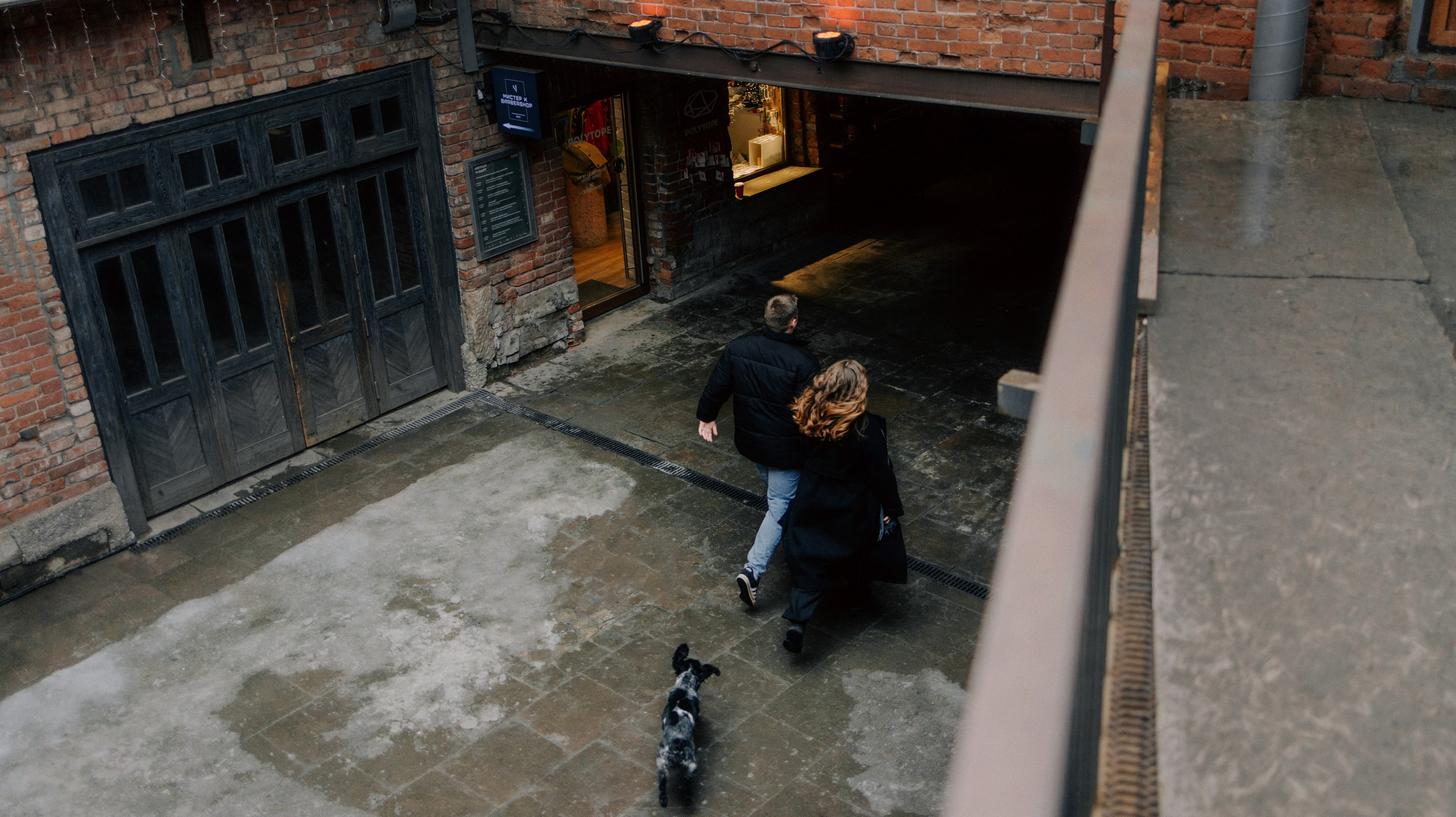 Вика и Кирилл. Фотограф-анималист Богданова Полина