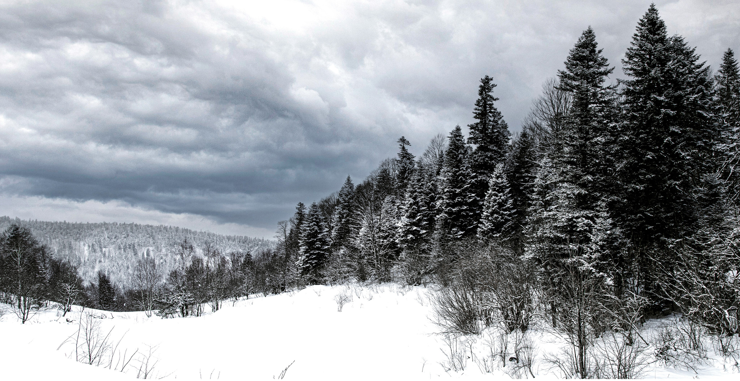 Фотографии природы России для Русского географического общества