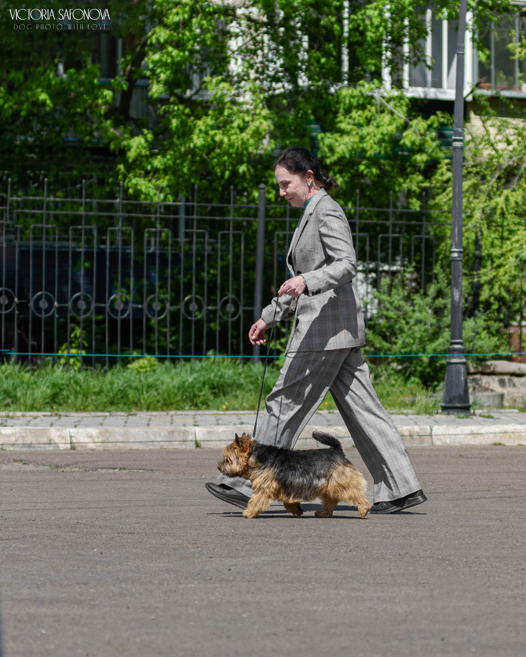 18–19 мая 2024 Благовещенск. Фотограф анималист Благовещенск. Сафонова Виктория