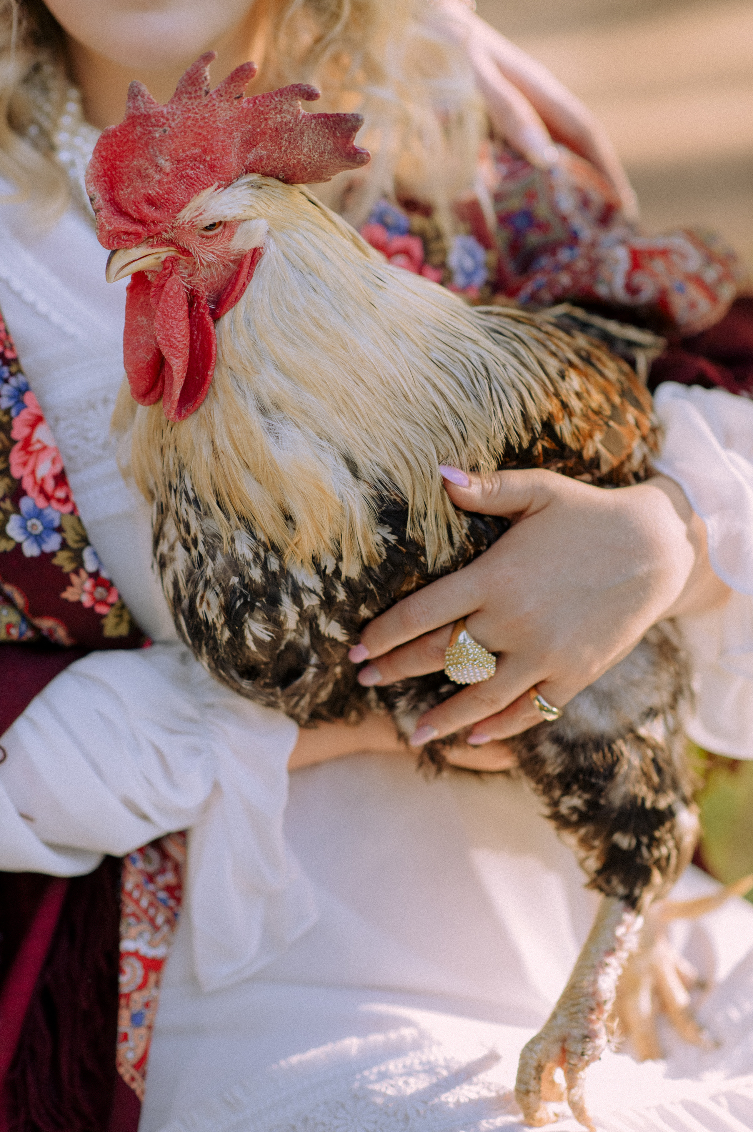 Русский шик