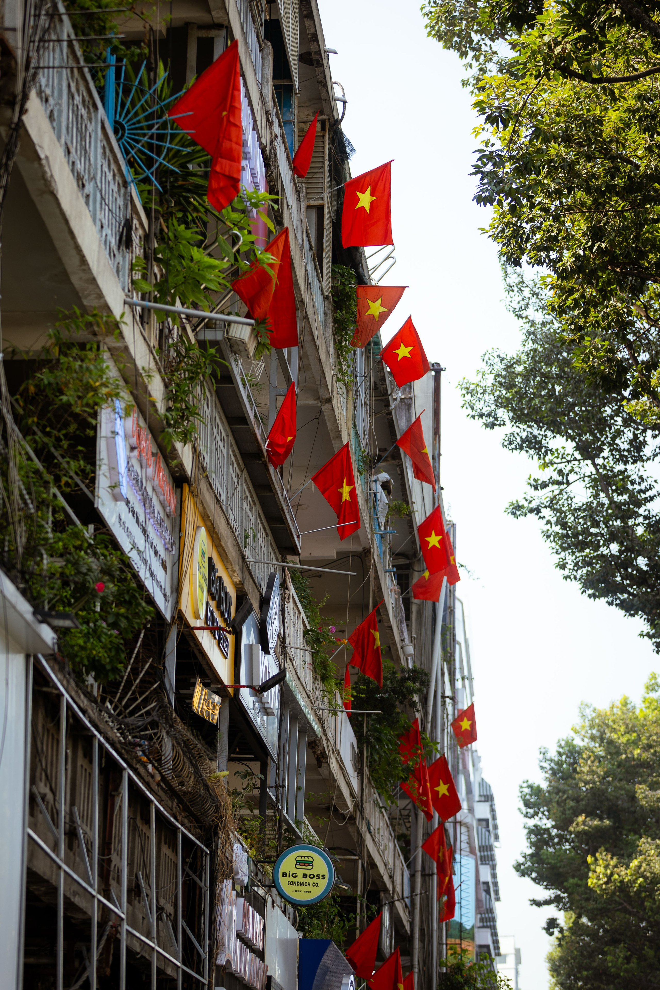 Вьетнам (зима 2025-2026). Фотограф Виноградов Константин