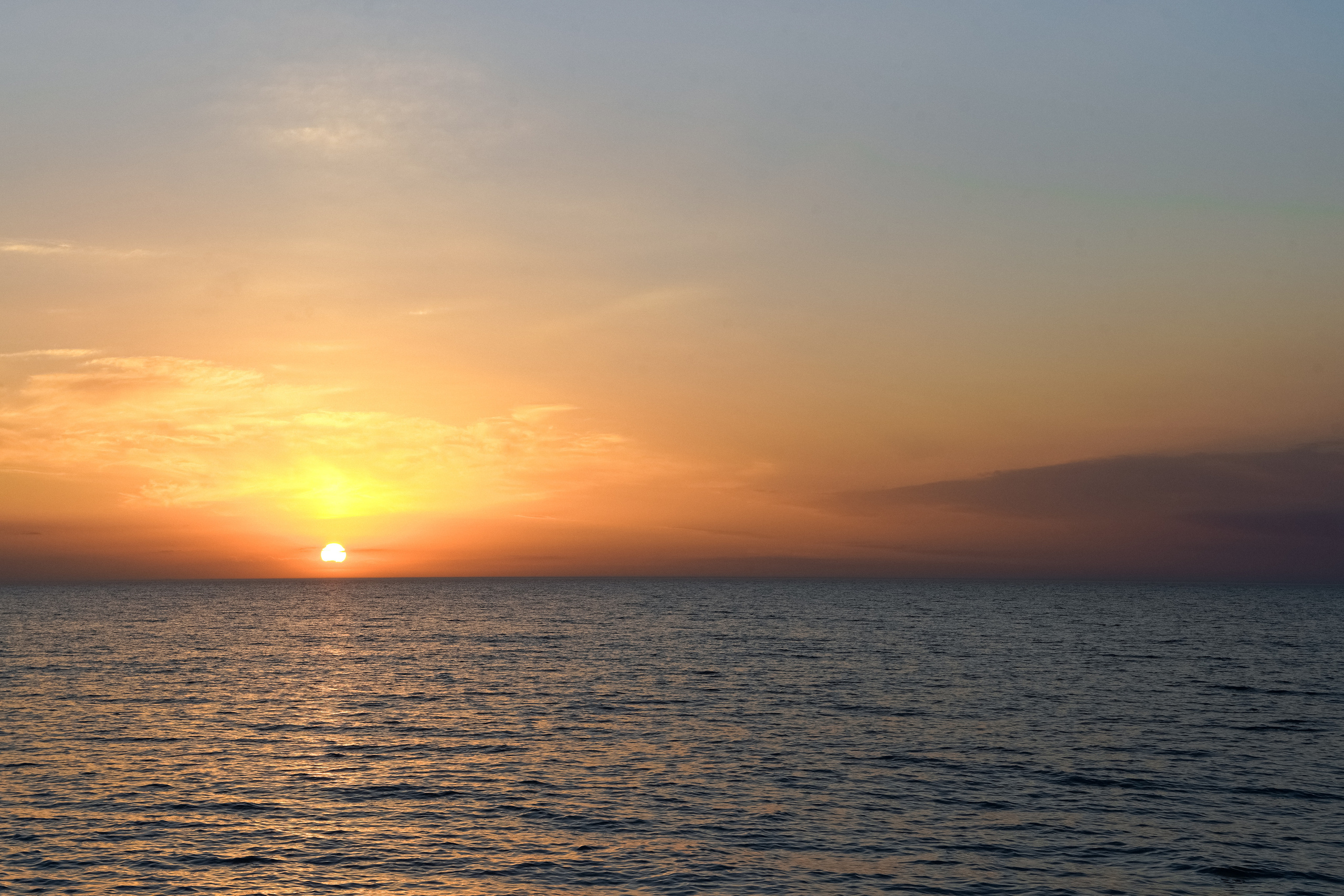 Свадьба Геленджик. VISUAL ARTIST · KRONGAUZ ANASTASIA