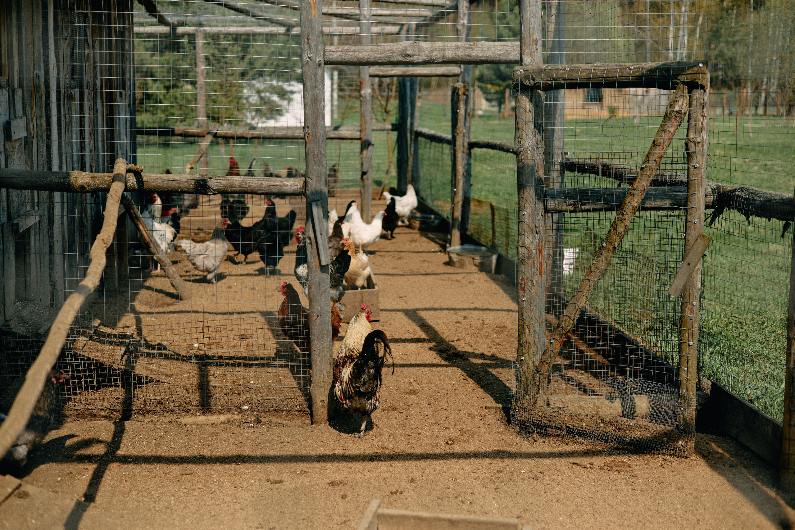 Бутик-отель Поле летом. Профессиональный Фотограф во Владимире, в Москве и в Суздале — Полина Романычева