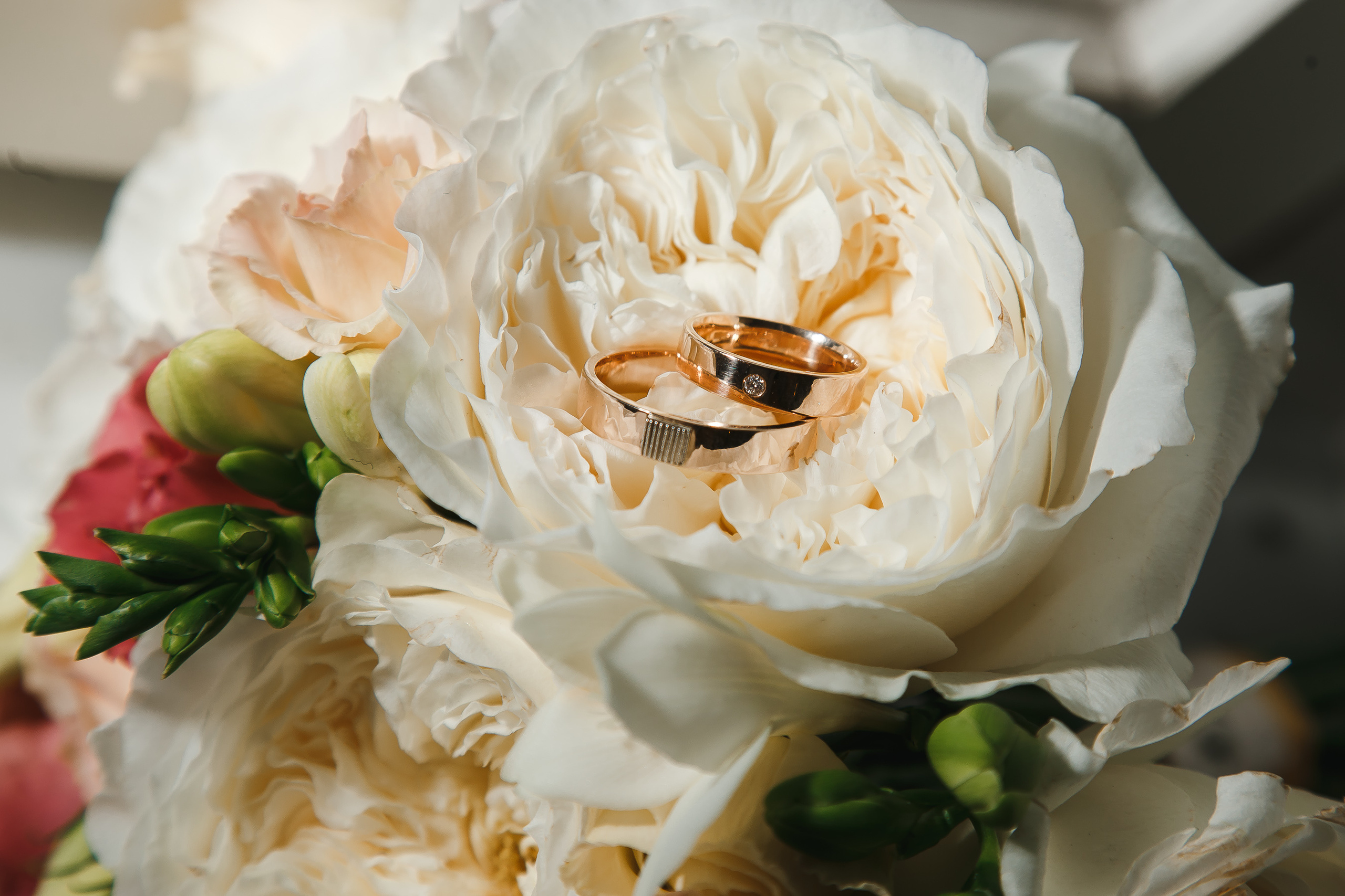 Фотосессия на свадьбу в Пушкине