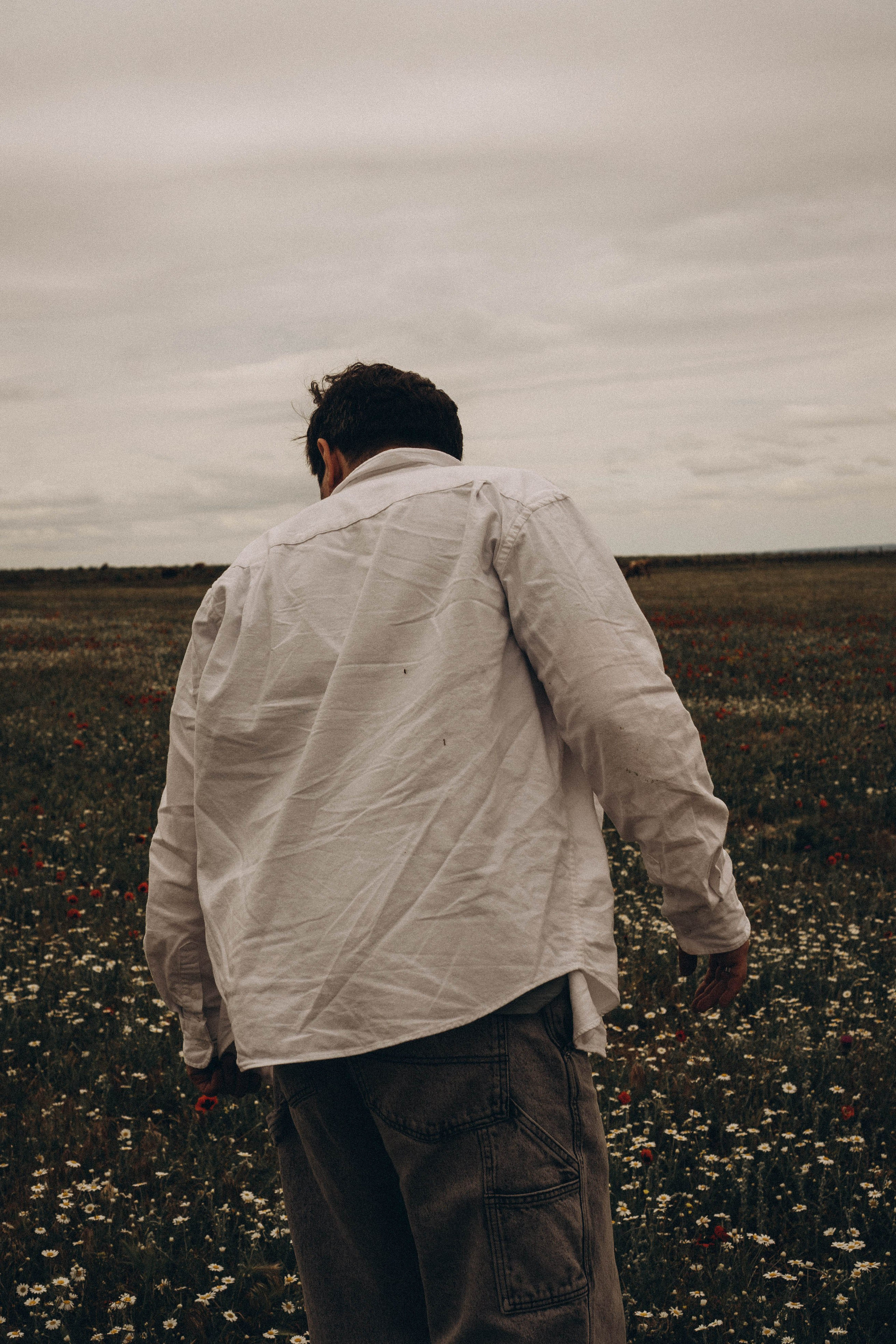 Маки. Профессиональный фотограф, Санкт-Петербург — Виктория Богомолова