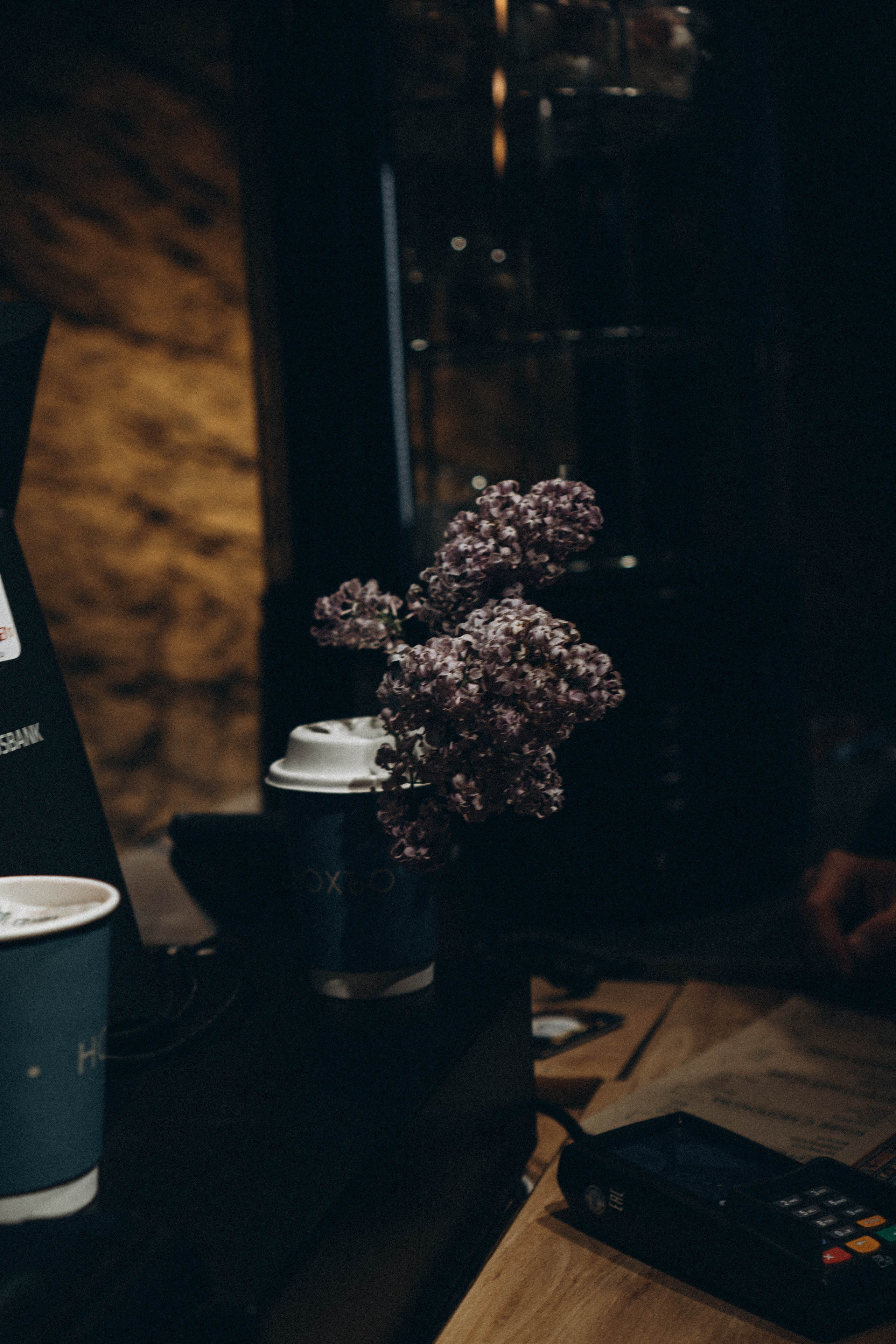 Кавказ. Профессиональный фотограф, Санкт-Петербург — Виктория Богомолова