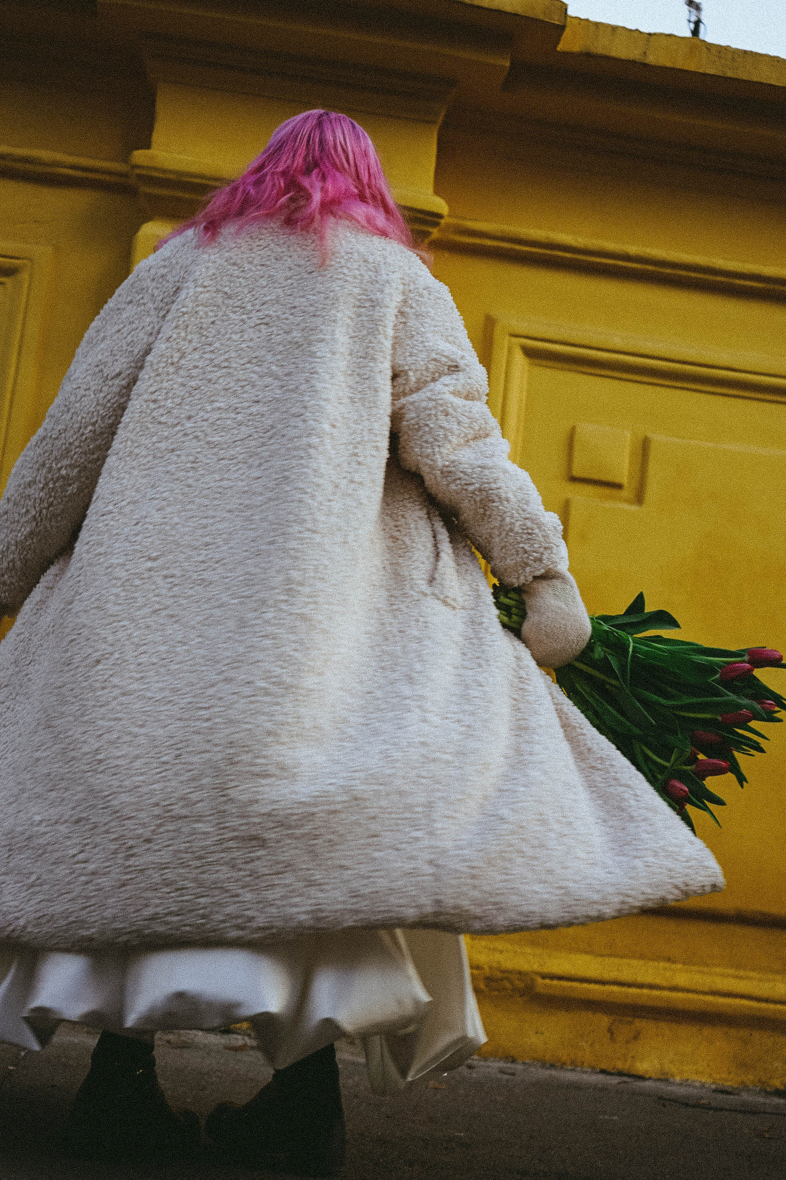 Тюльпаны. Профессиональный фотограф, Санкт-Петербург — Виктория Богомолова