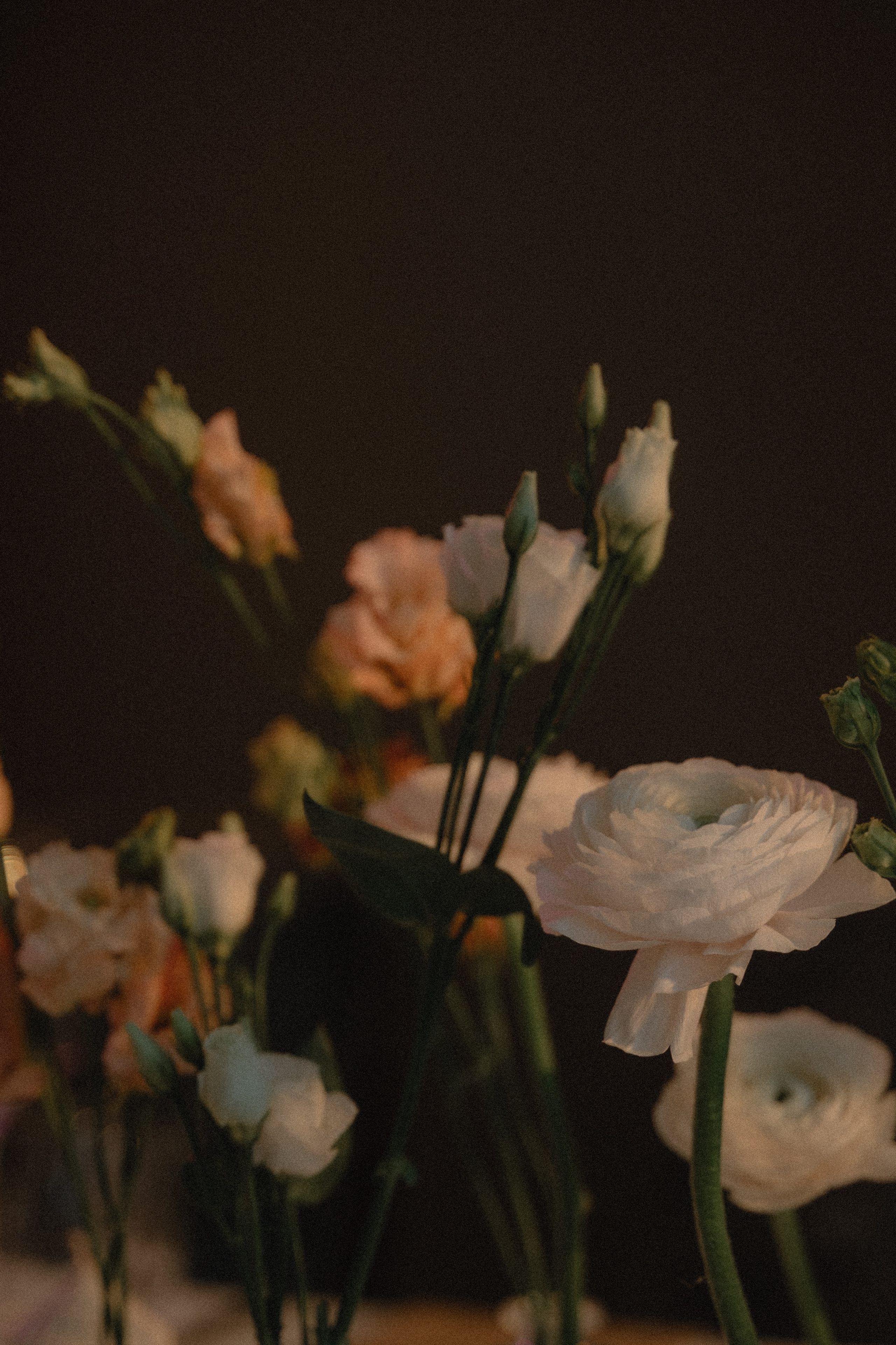 Всё начинается с любви. Рыкова Светлана | фотограф и мобильный видеограф | Брянск Москва Спб