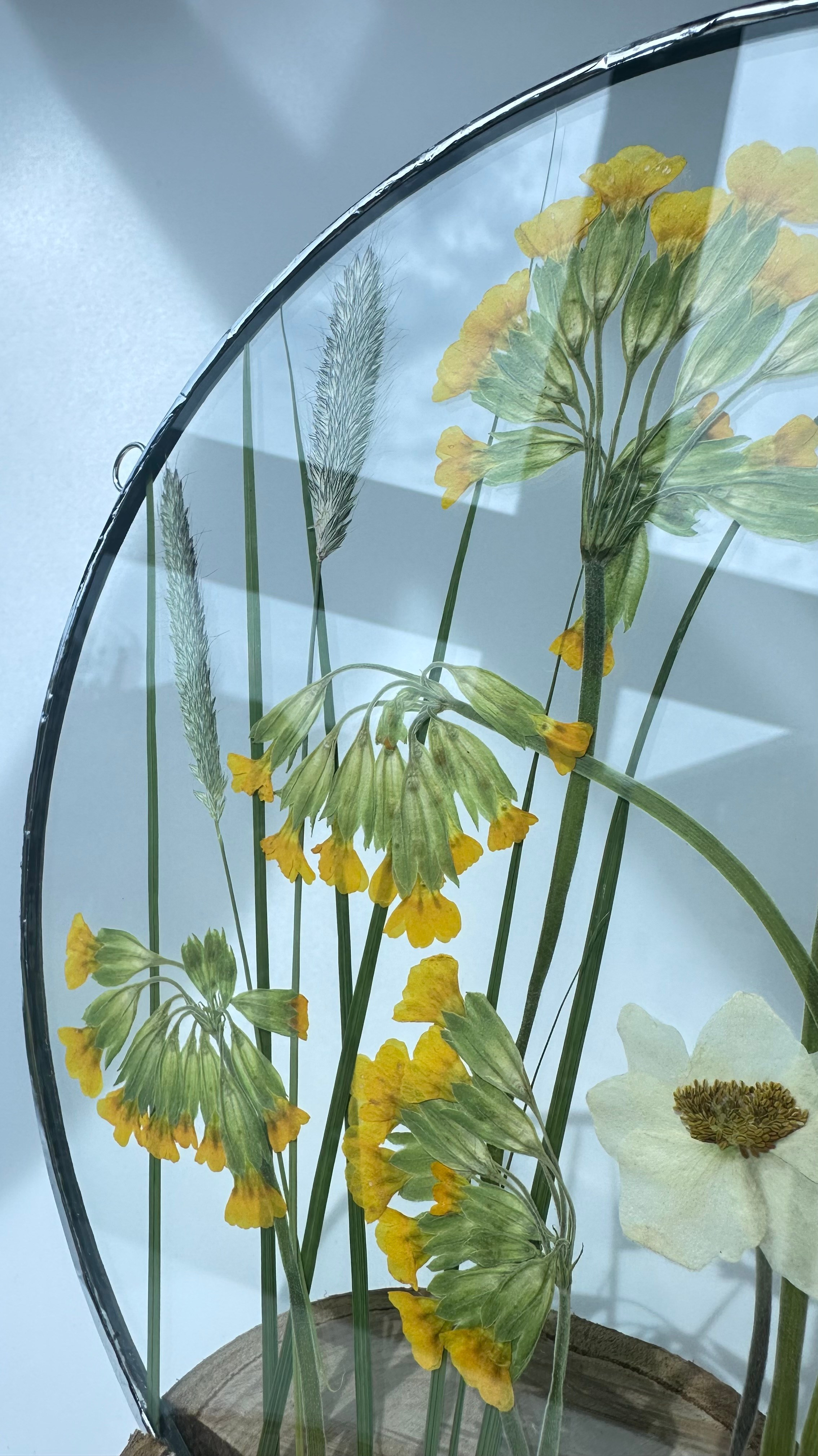 Сухоцветы под стеклом (витраж гербарий техника тиффани). Гербарий в стекле, интерьерные панно, витражи с сухоцветами в технике тиффани