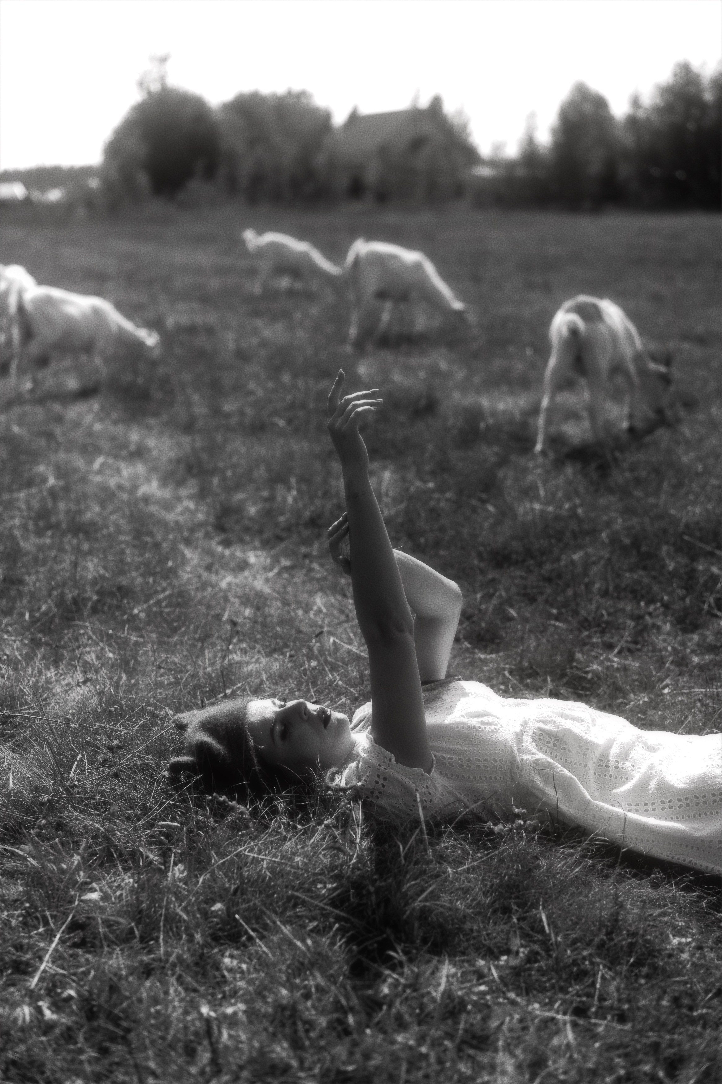 ХАрактерный портрет. Портретный психолог