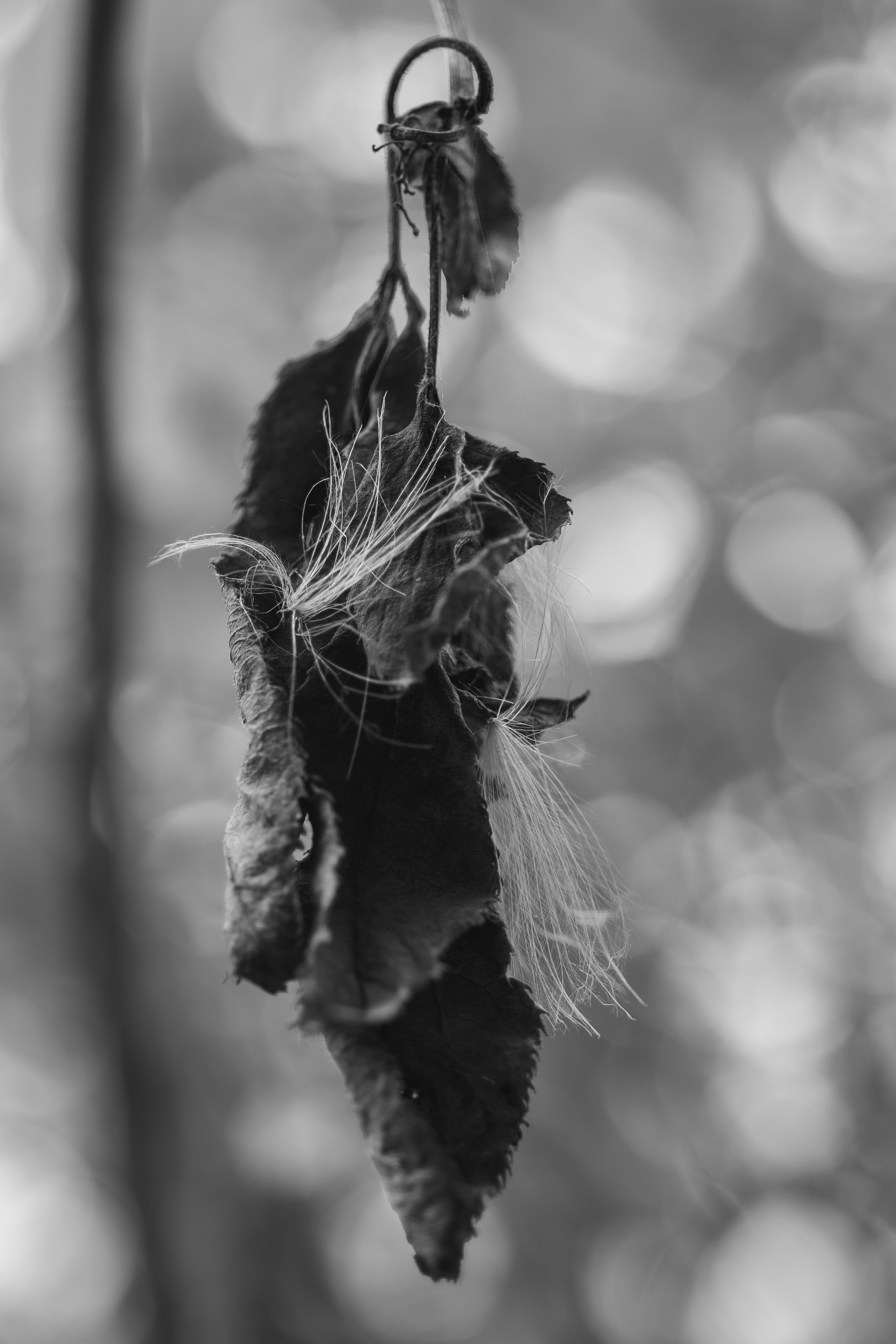 Art. Арт — фотограф Евгений Наймушин Новокузнецк