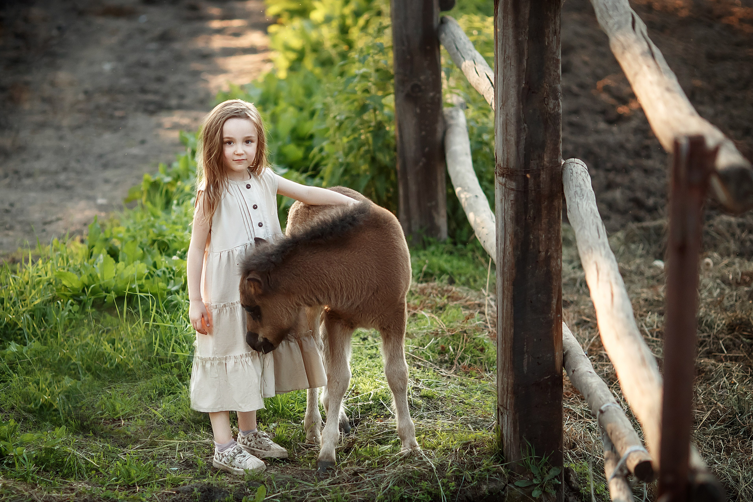 С конем. Сказочный фотограф фотопроекты фототуры в Новосибирске и на Алтае