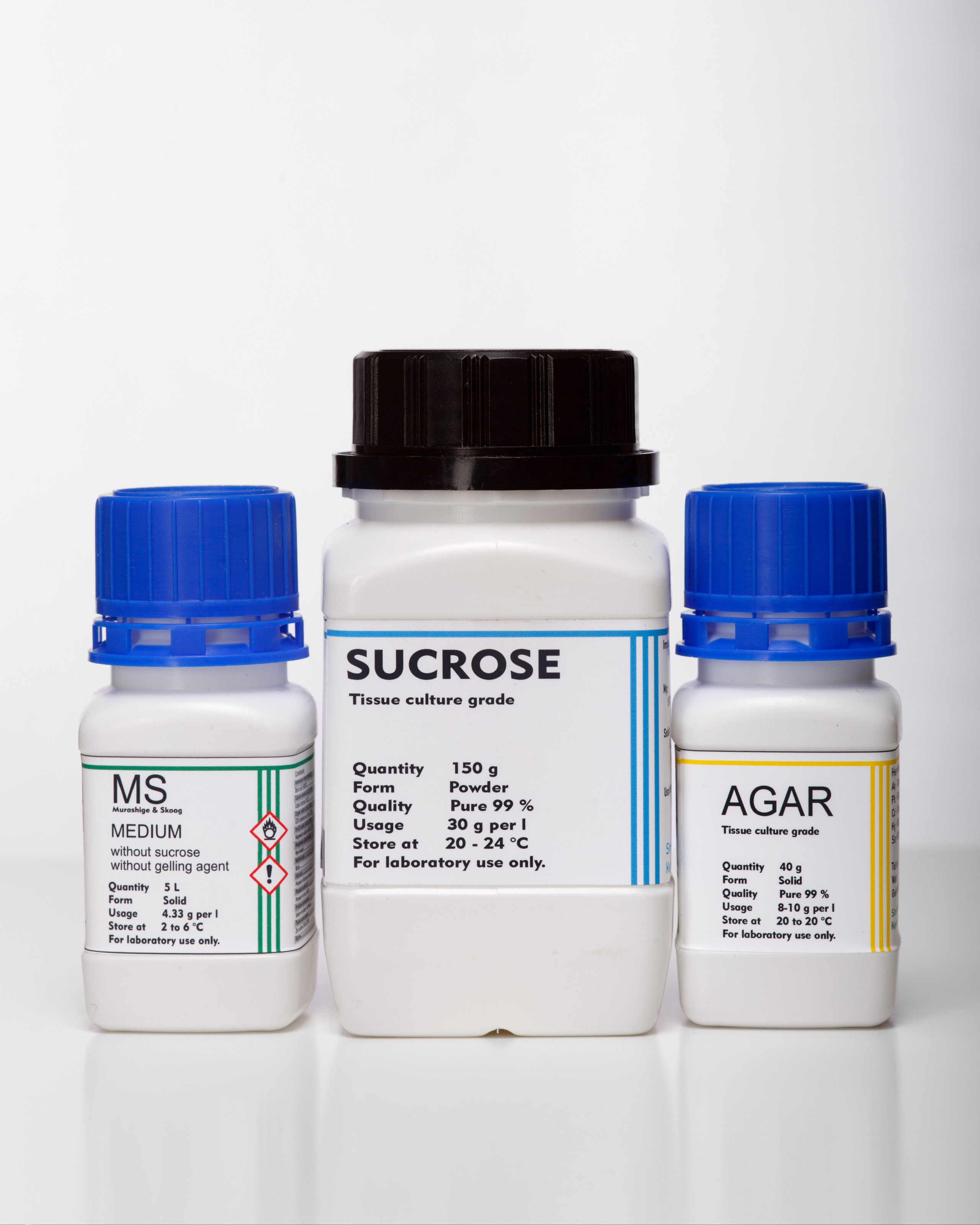 Alzymologist Oy. Elena Yavorskaya Photography