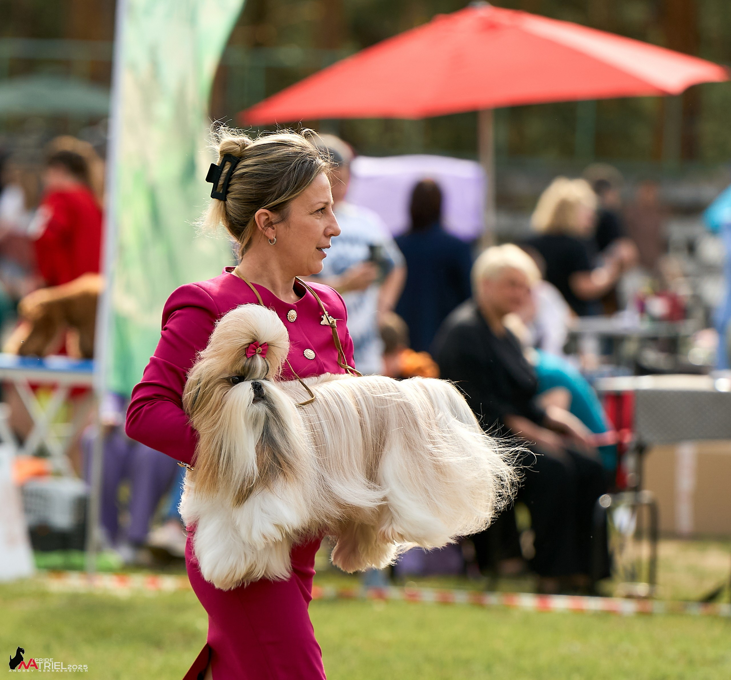 Выставка собак Суздаль-Владимир