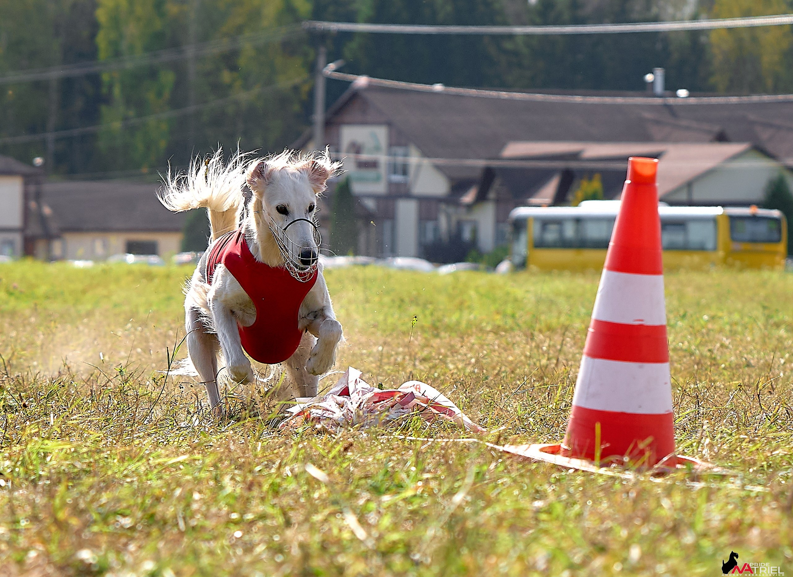Съемка курсинг — галерея NATRIEL