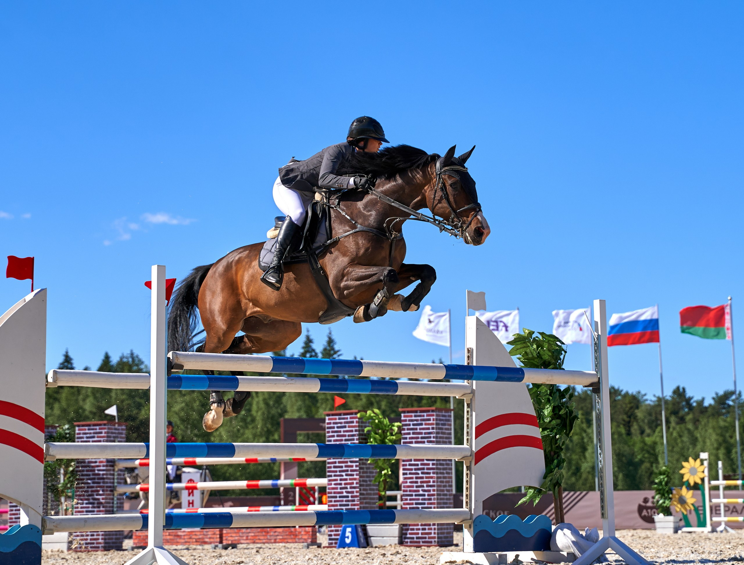 Соревнования на лошадях — галерея NATRIEL