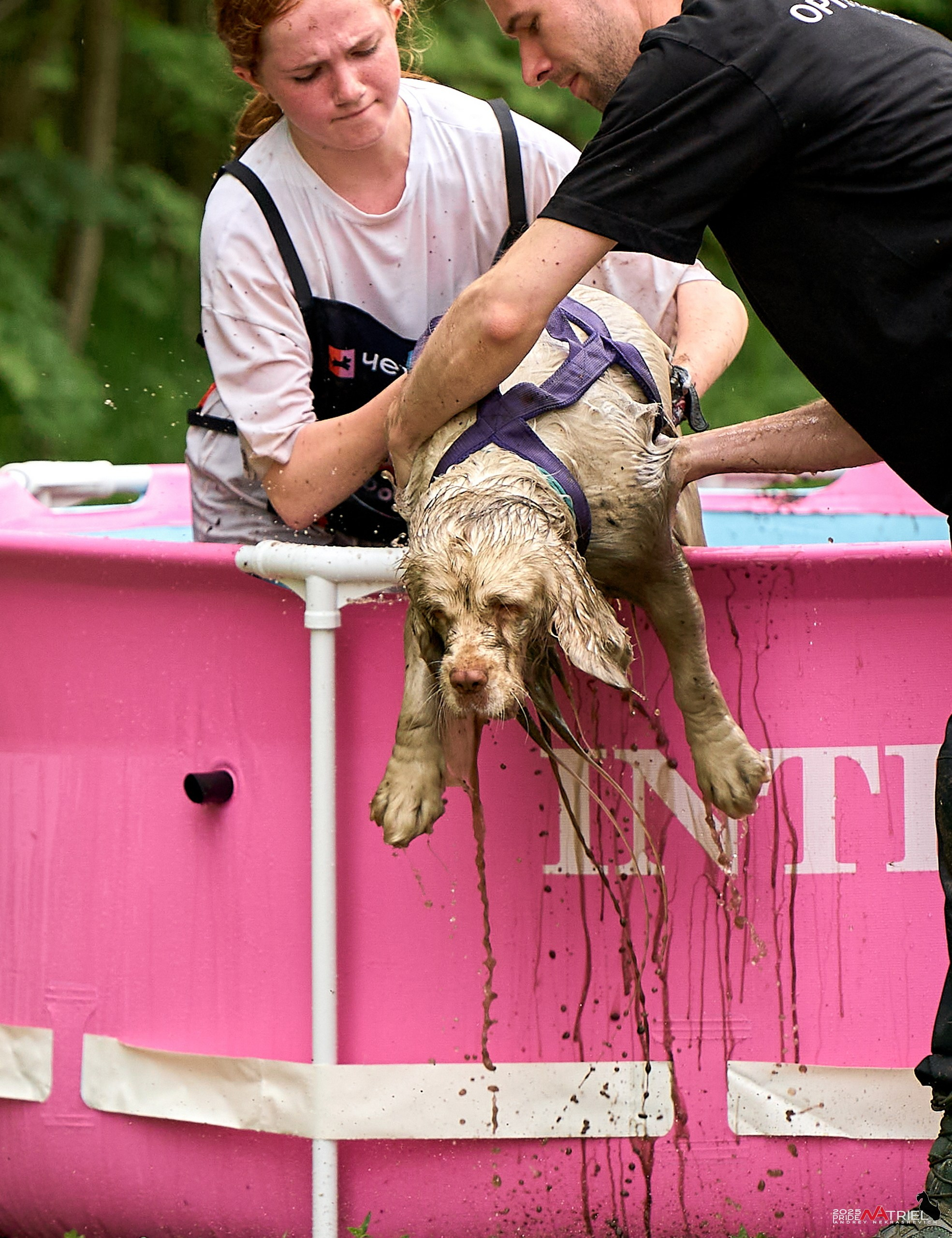 Russian Extreme Dog Trail — 2025