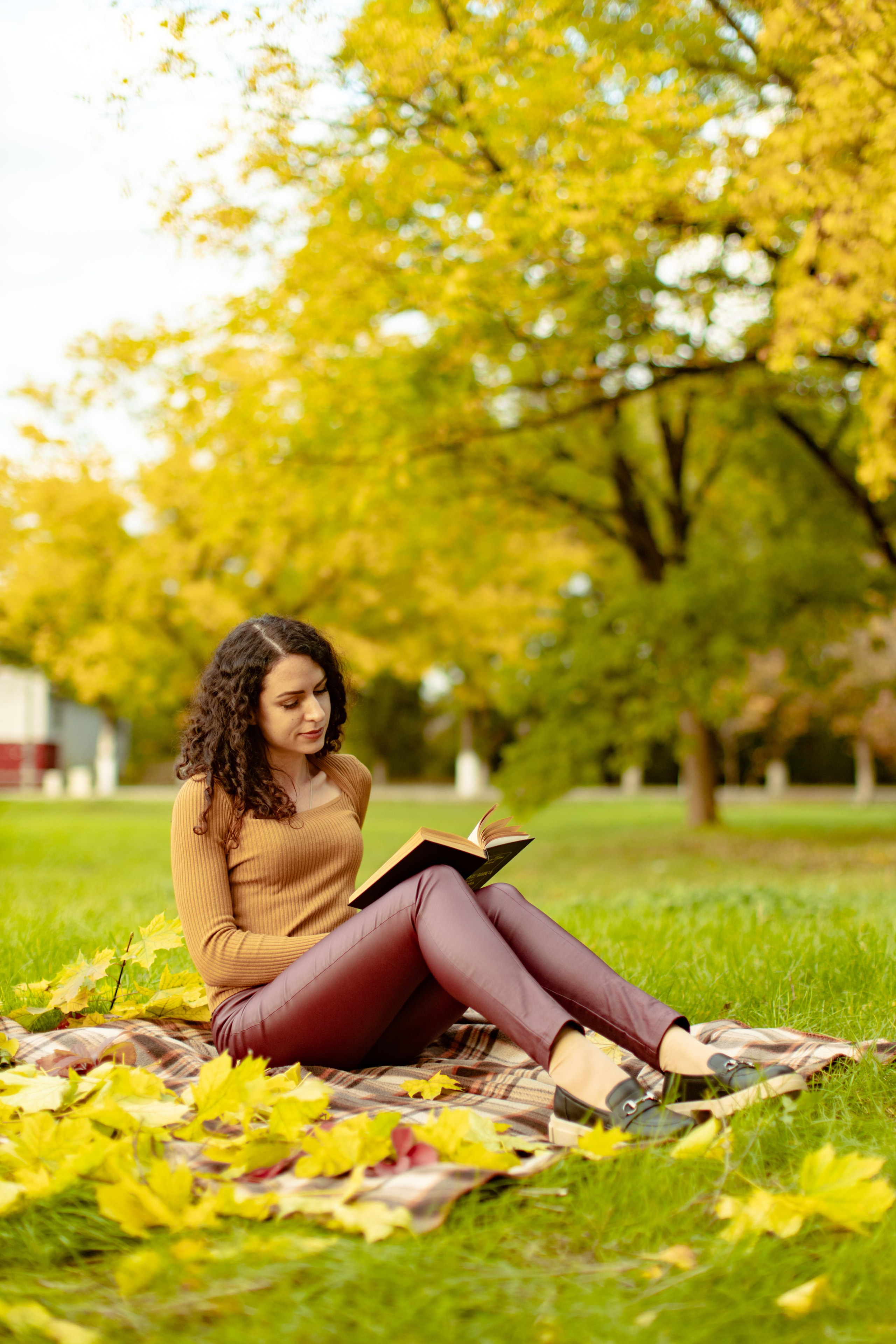 Осень. Профессиональный фотограф и видеооператор