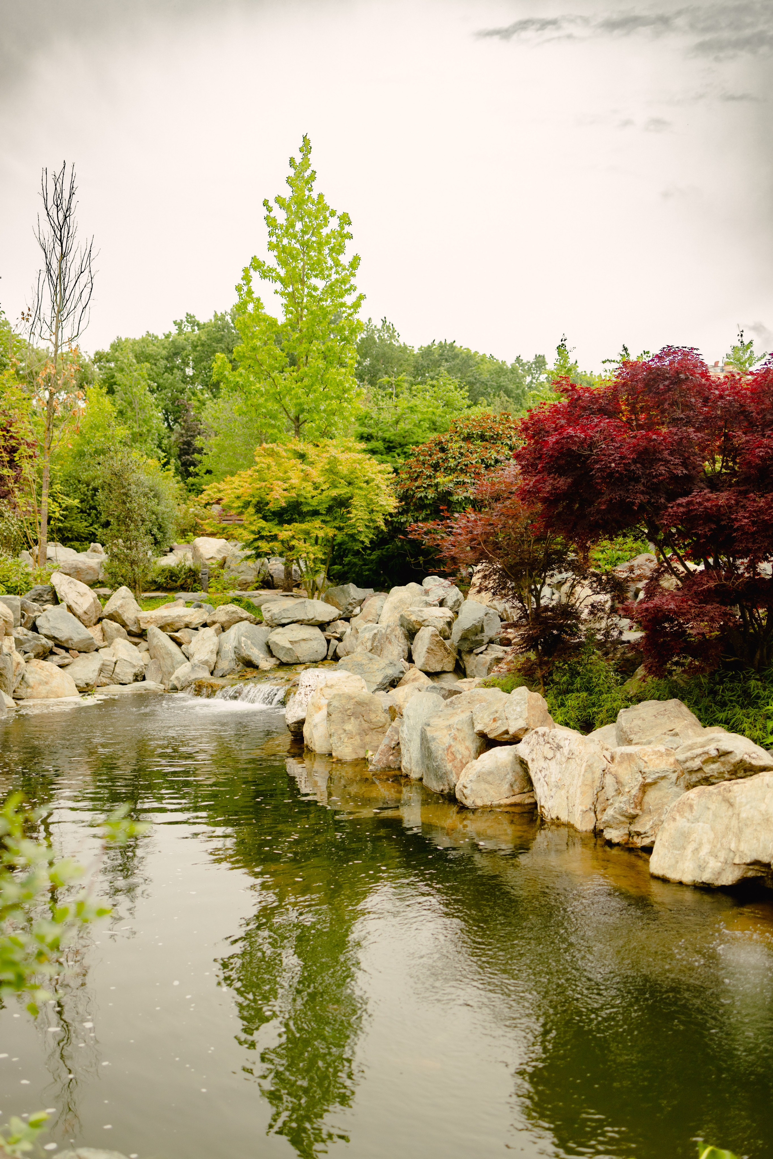 Японский сад в Краснодаре. Профессиональный фотограф и видеооператор