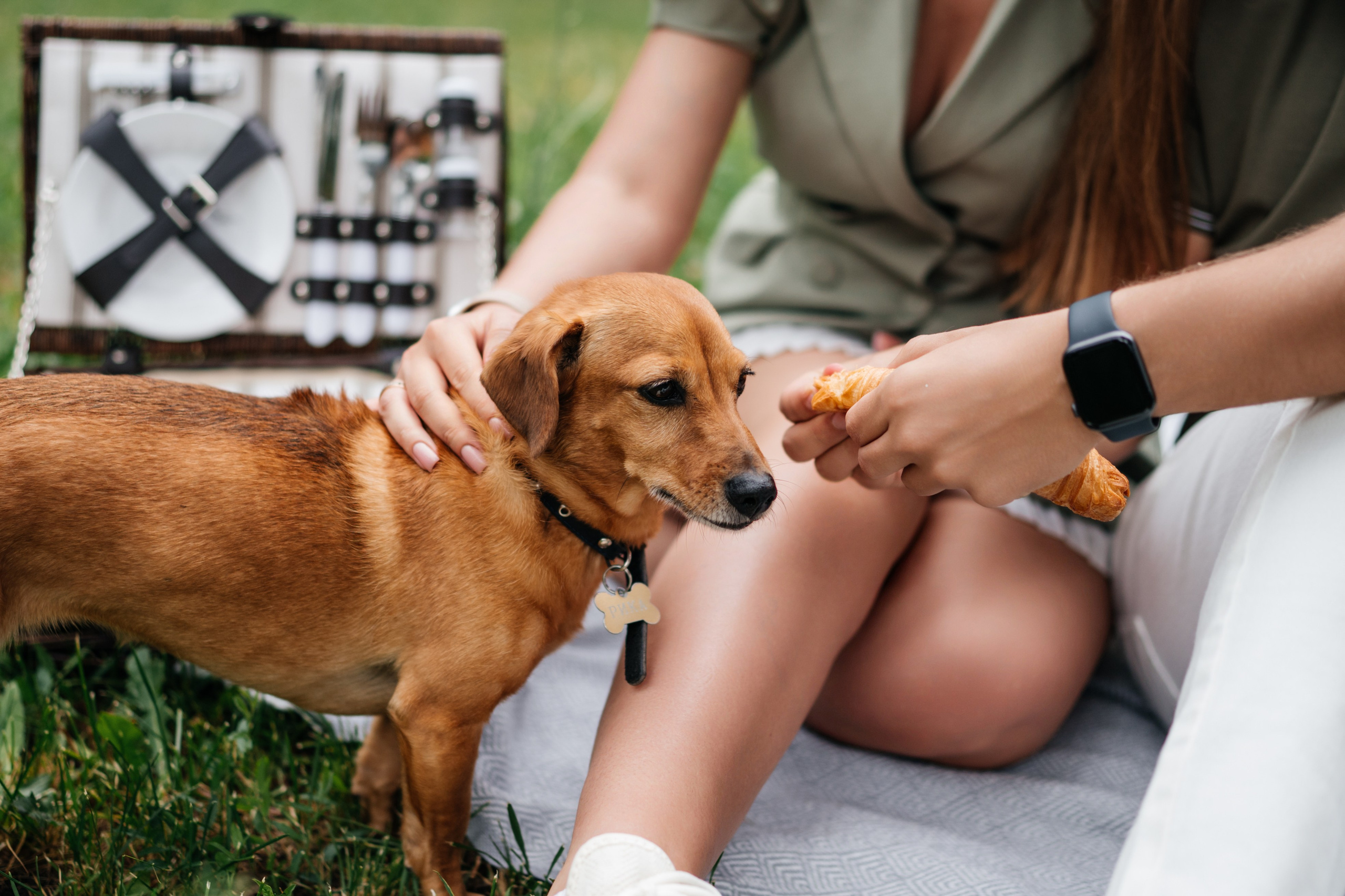 Alina | Andrei | Rika. Https://instagram.com/ana.stasia.n