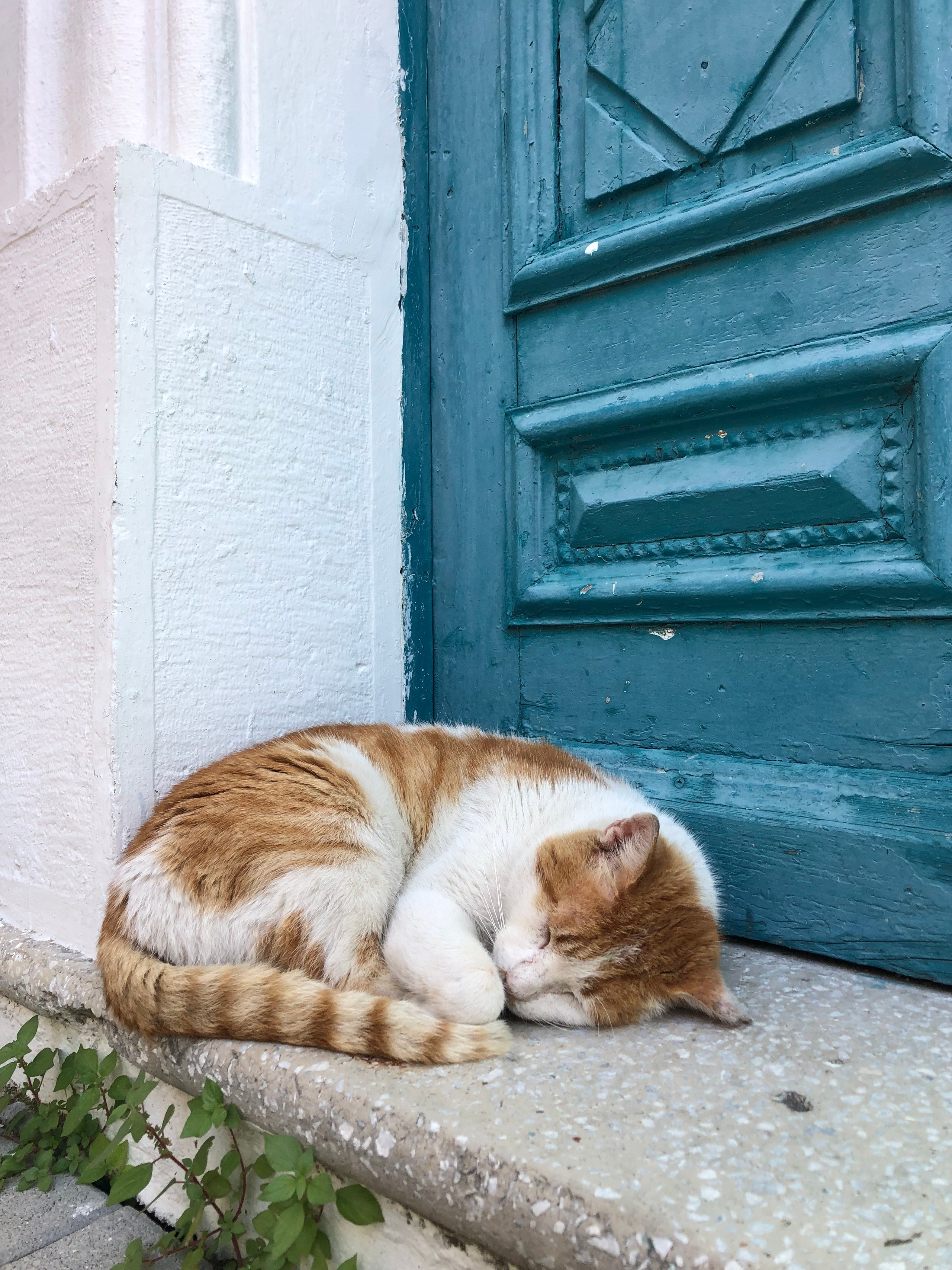 Остров Кос 🇬🇷. Anita_photo