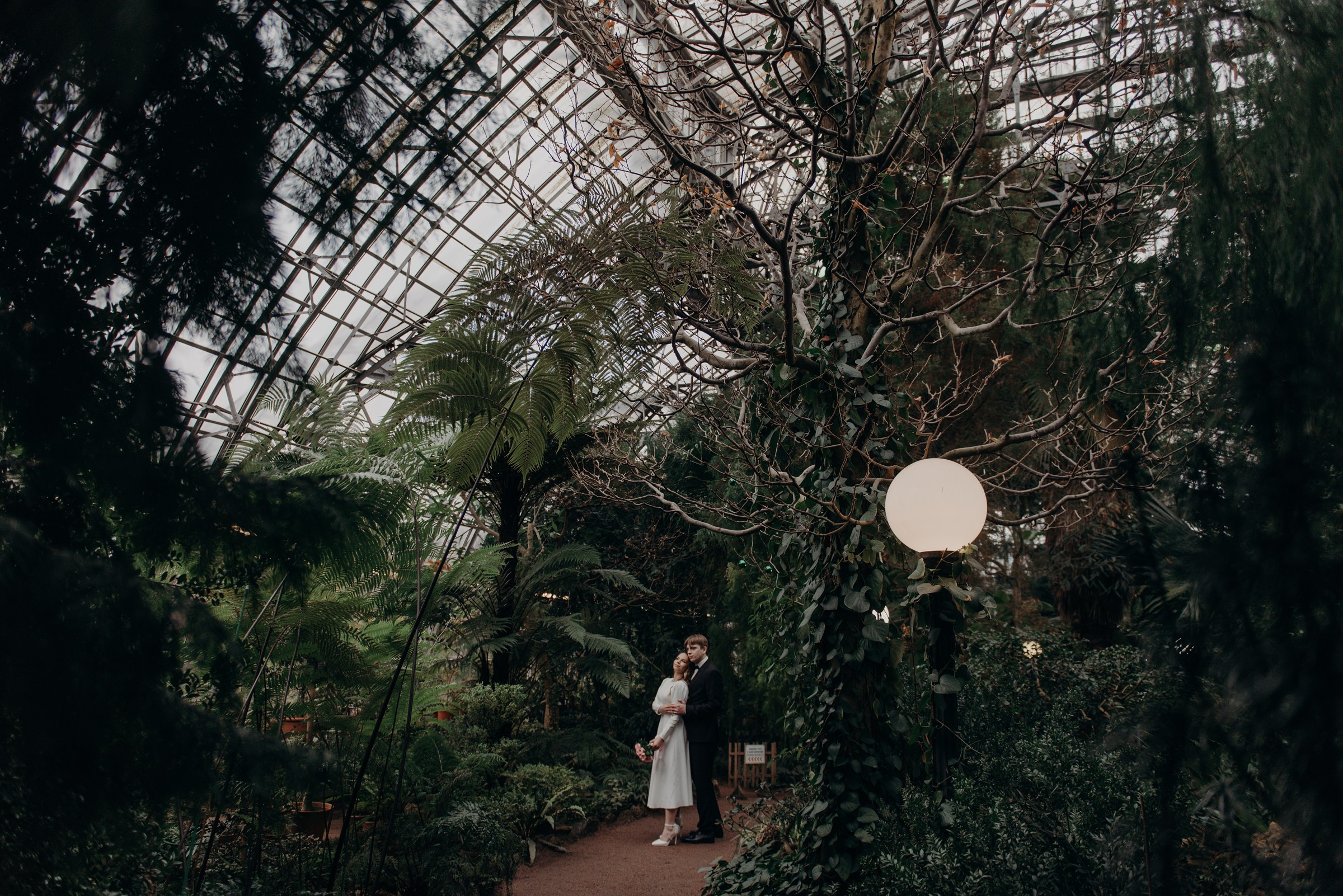 свадебная фотосессия в субтропическом маршруте оранжереи Ботанического сада