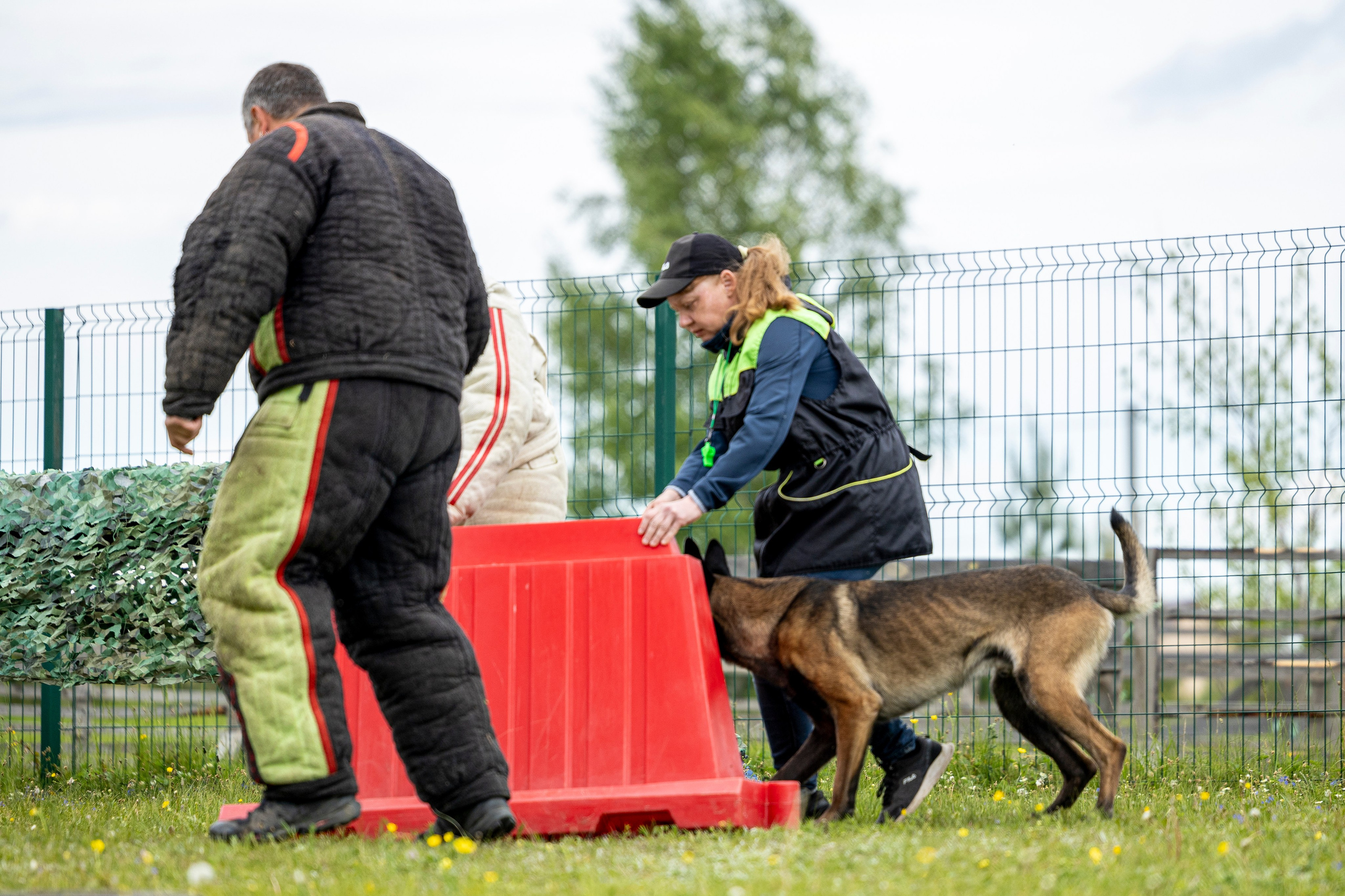 Испытания по мондьорингу в Нижнем Новгороде. Фотограф-анималист Анна Маринич