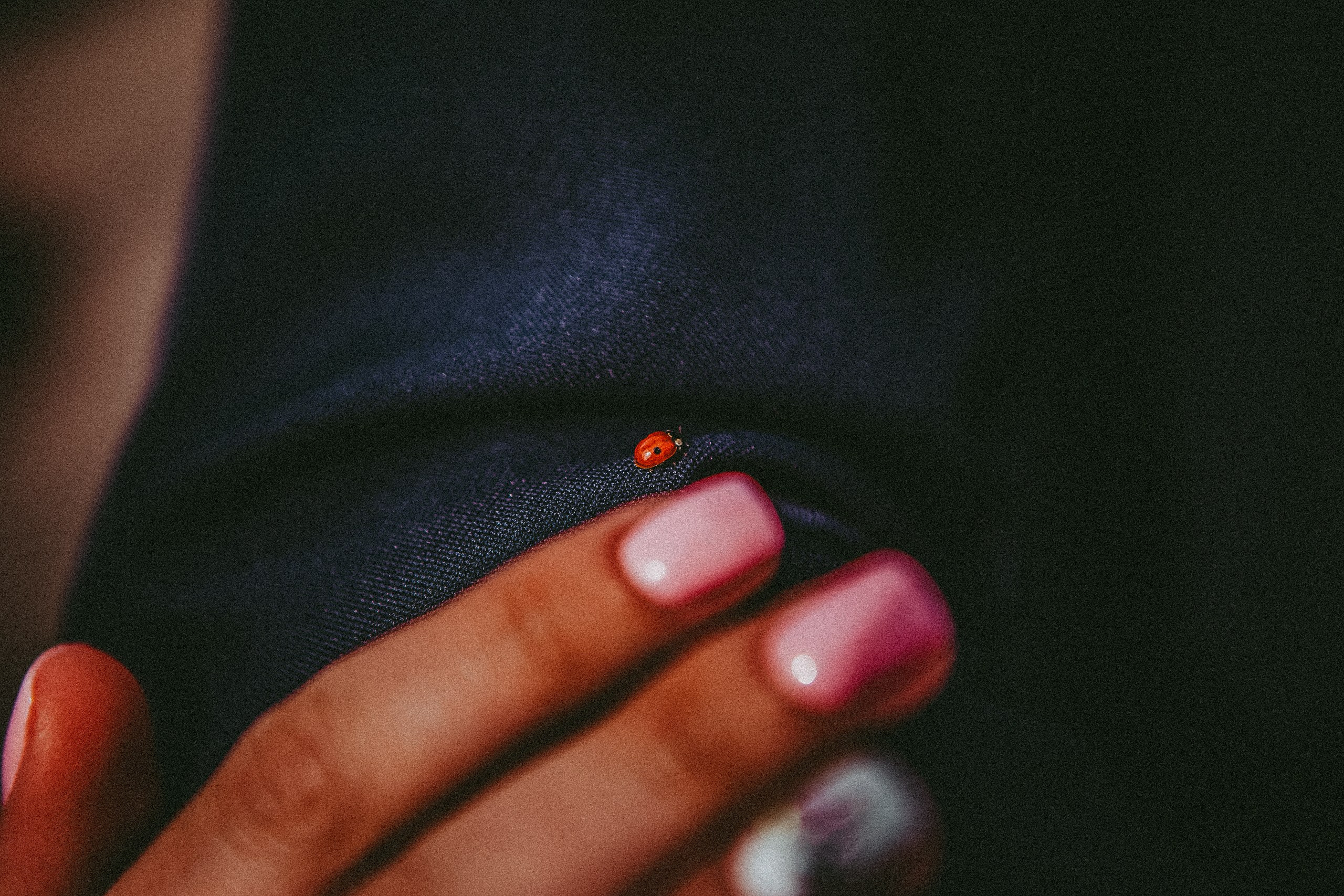 Дима и Люба. Фотограф в городе Самара Александр Гераськин