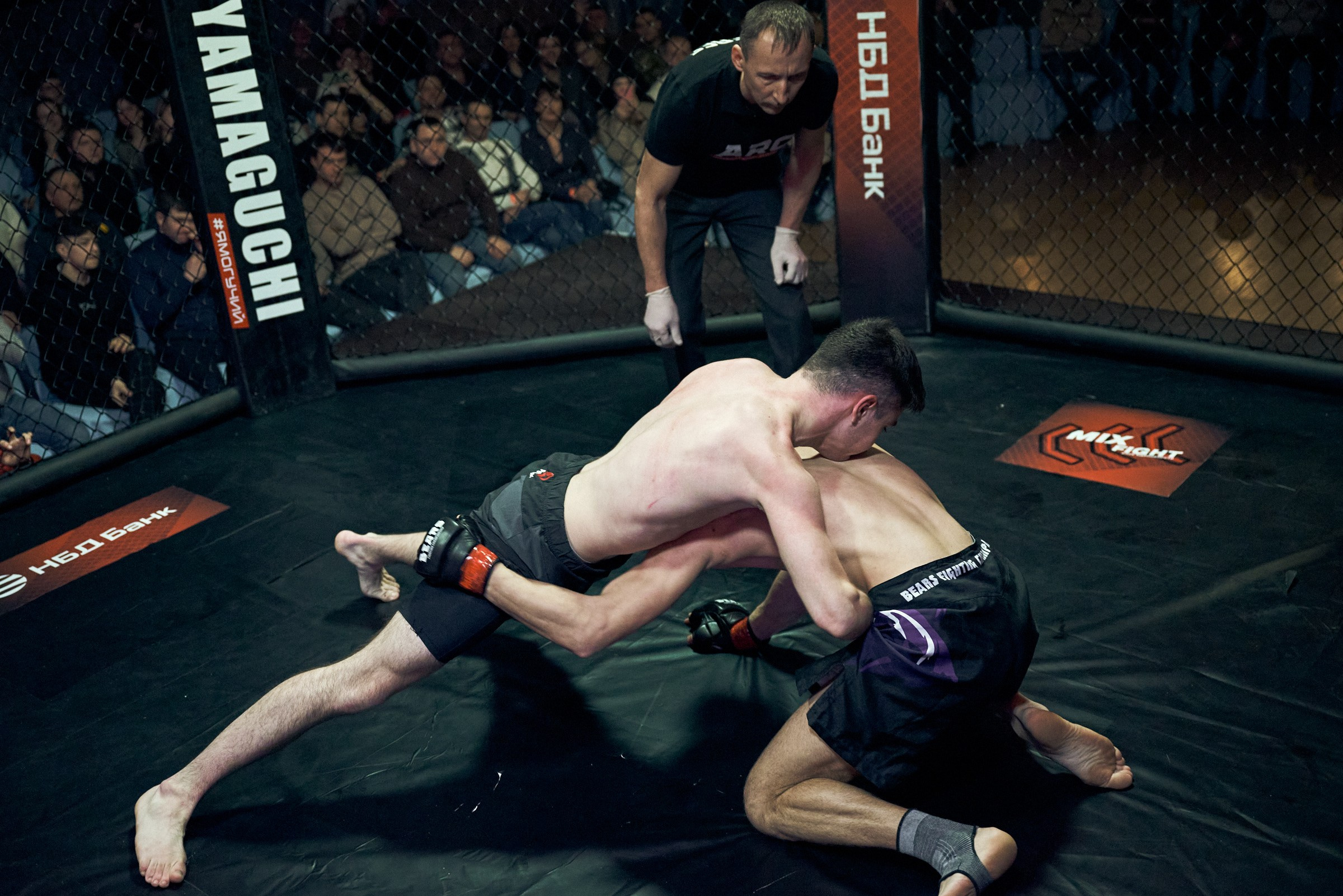 Бои. Маляревич Дмитрий свадебный фотограф