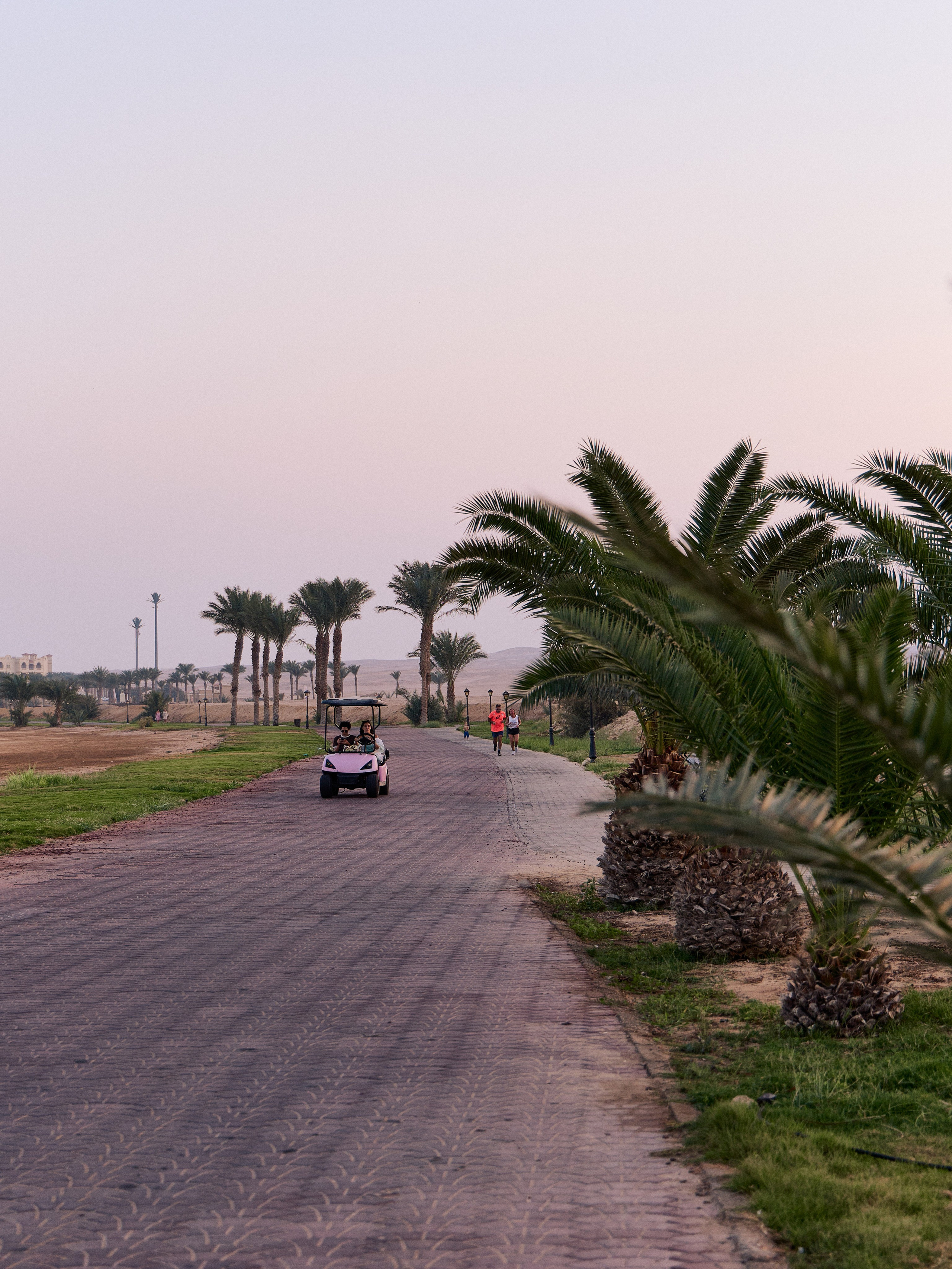 Другое 3. Jorgis — фотограф в Хургаде / обучение фотографии