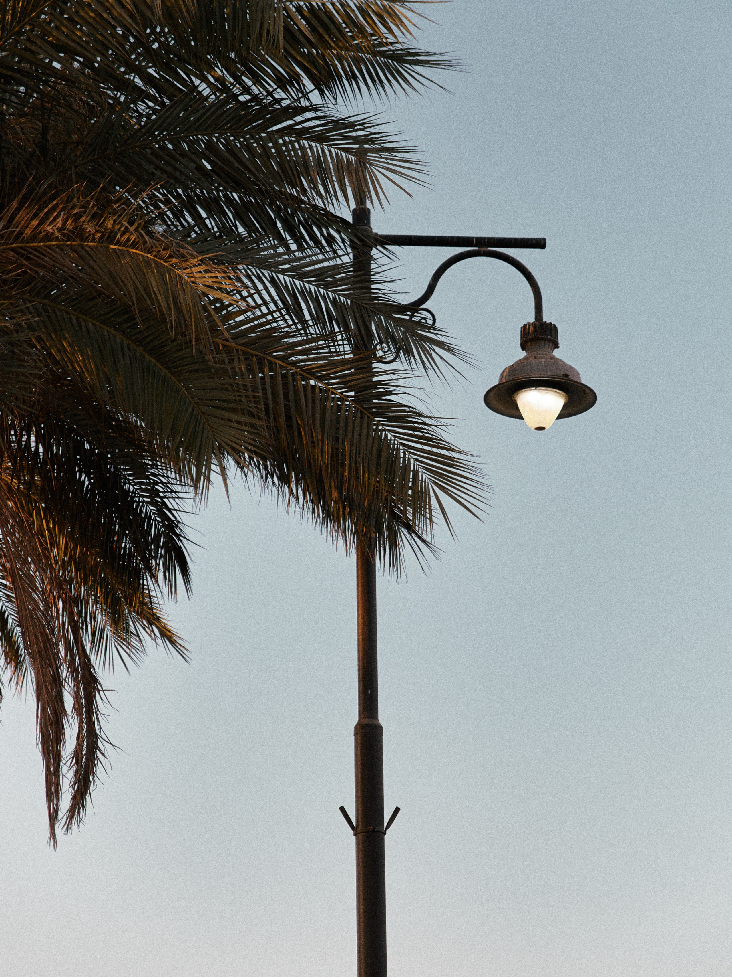 Природа сквозь. Jorgis Talè — photographer, kind person, teacher of arts and other mag