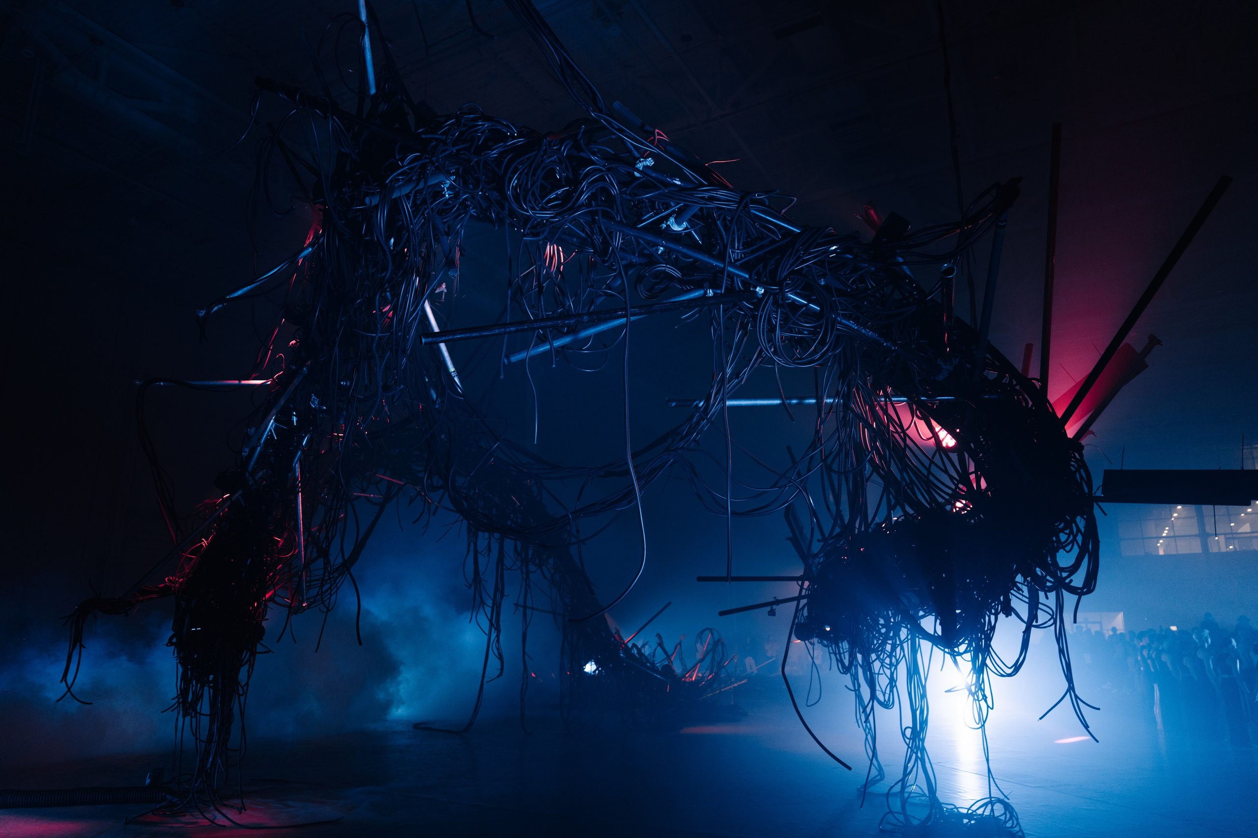 PERFORMA, The Hour of the Horse. @tomrus: Рустам Шагиморданов — фотограф