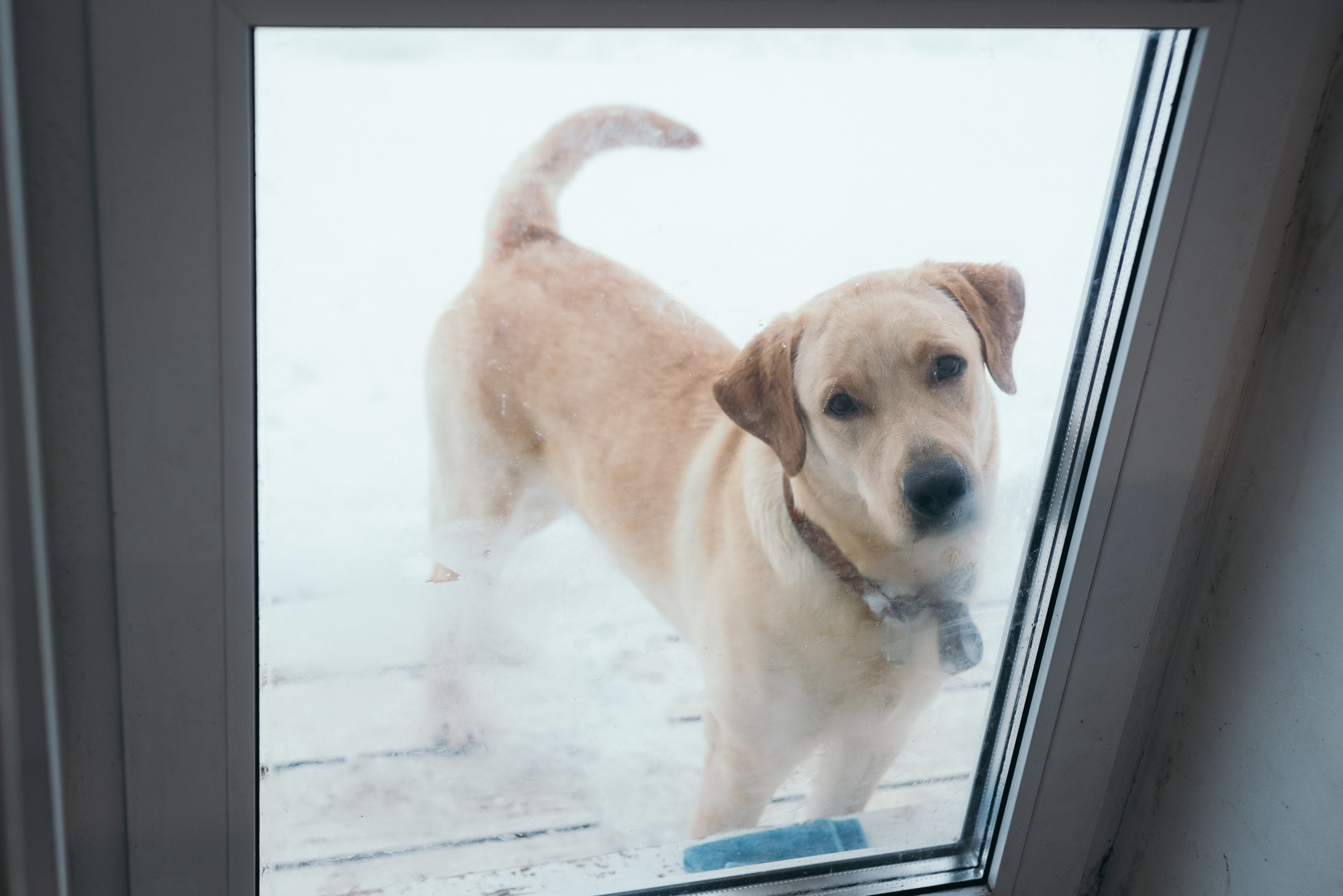 Тепло домашнего очага. Семейный и детский фотограф в Санкт-Петербурге Марина Сергеева