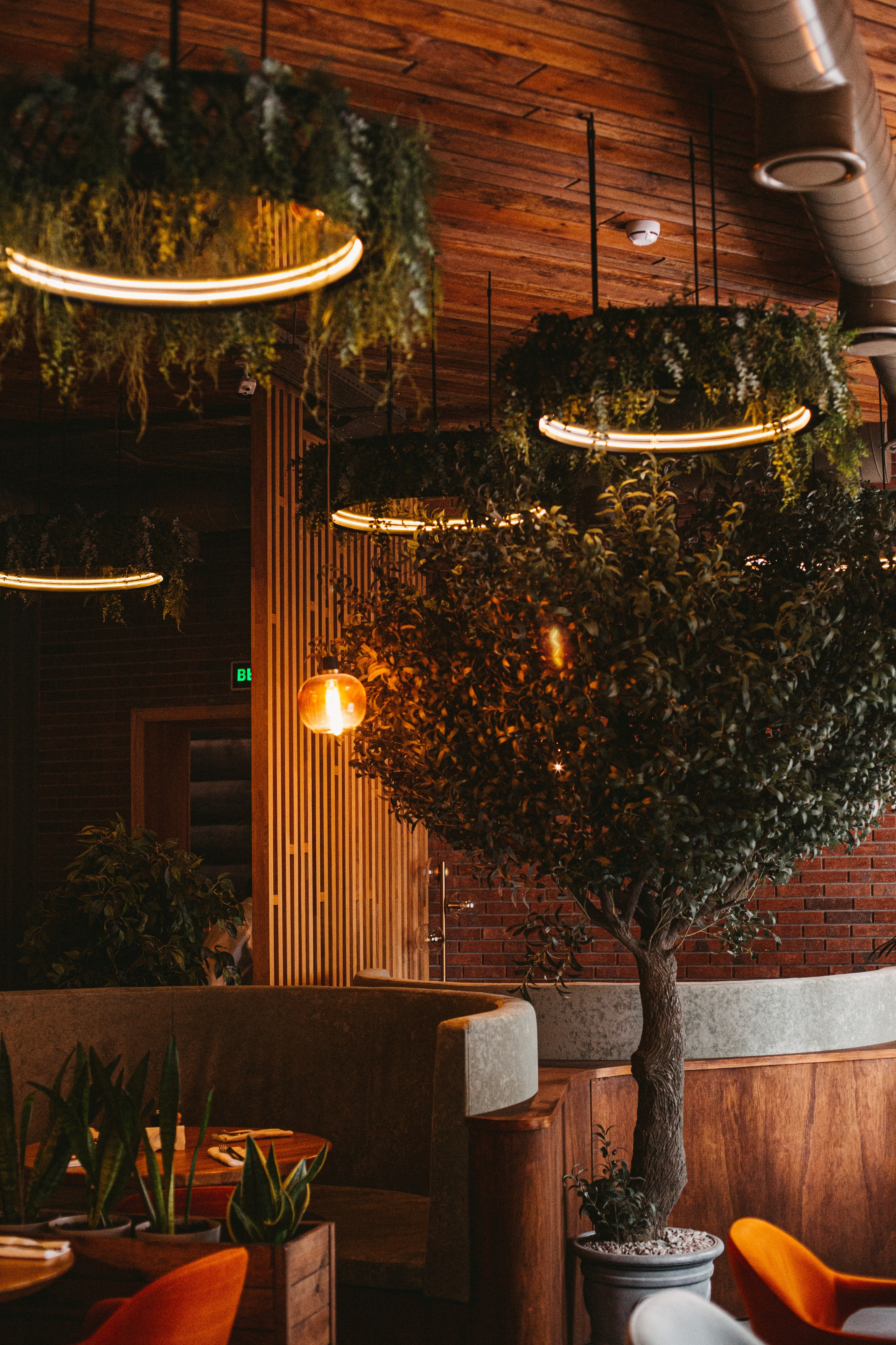 Интерьер. Фуд фотограф новосибирск