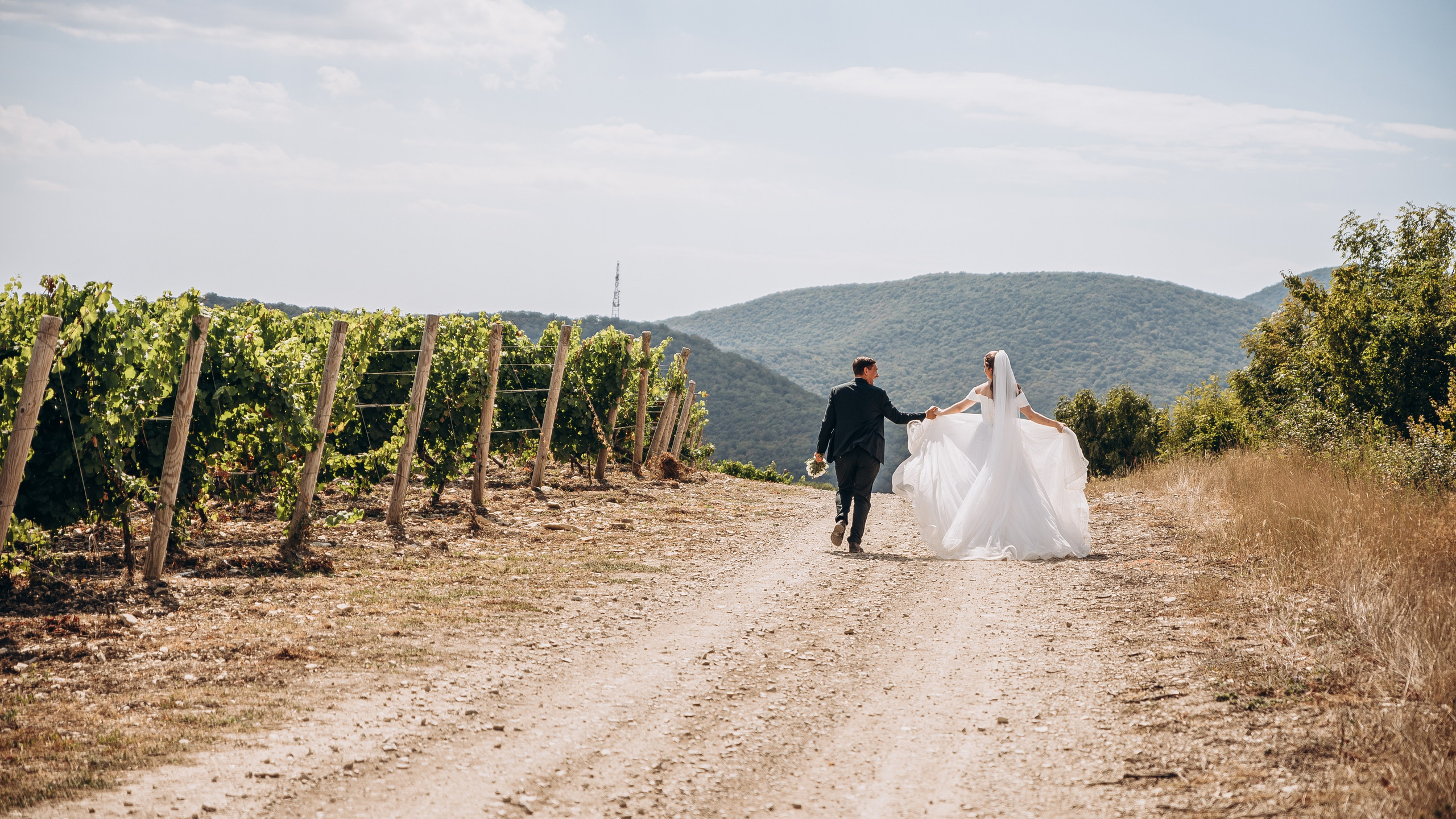 15.08.2025. Фотограф Новороссийск / ЮФО / Москва Руслан Пелин