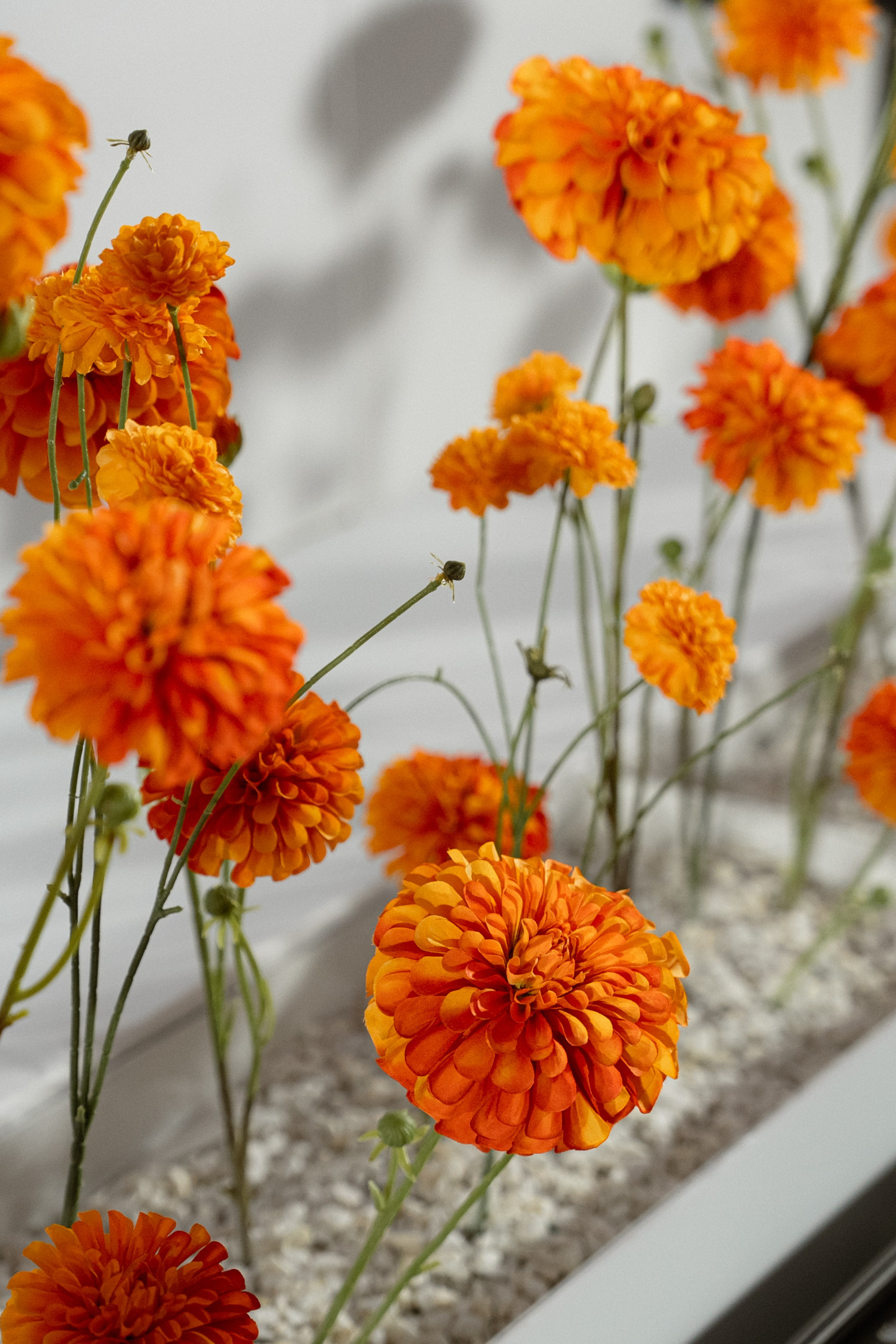 Karina+Danya. Семейный и портретный фотограф в Саратове Сахарова Маша