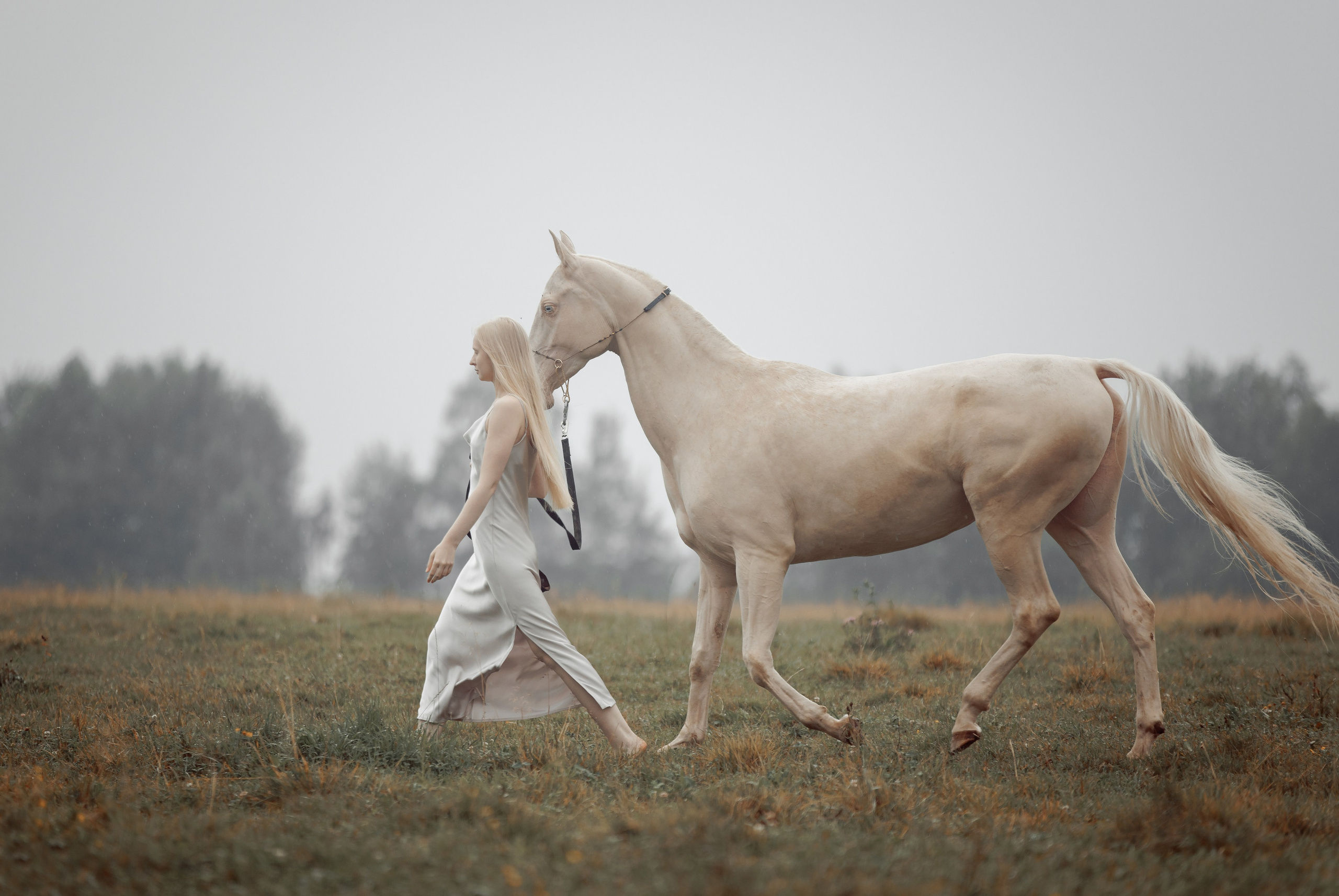Конная съёмка. Взрослые. Детская Конная фотография в Москве Юлия Шепелева
