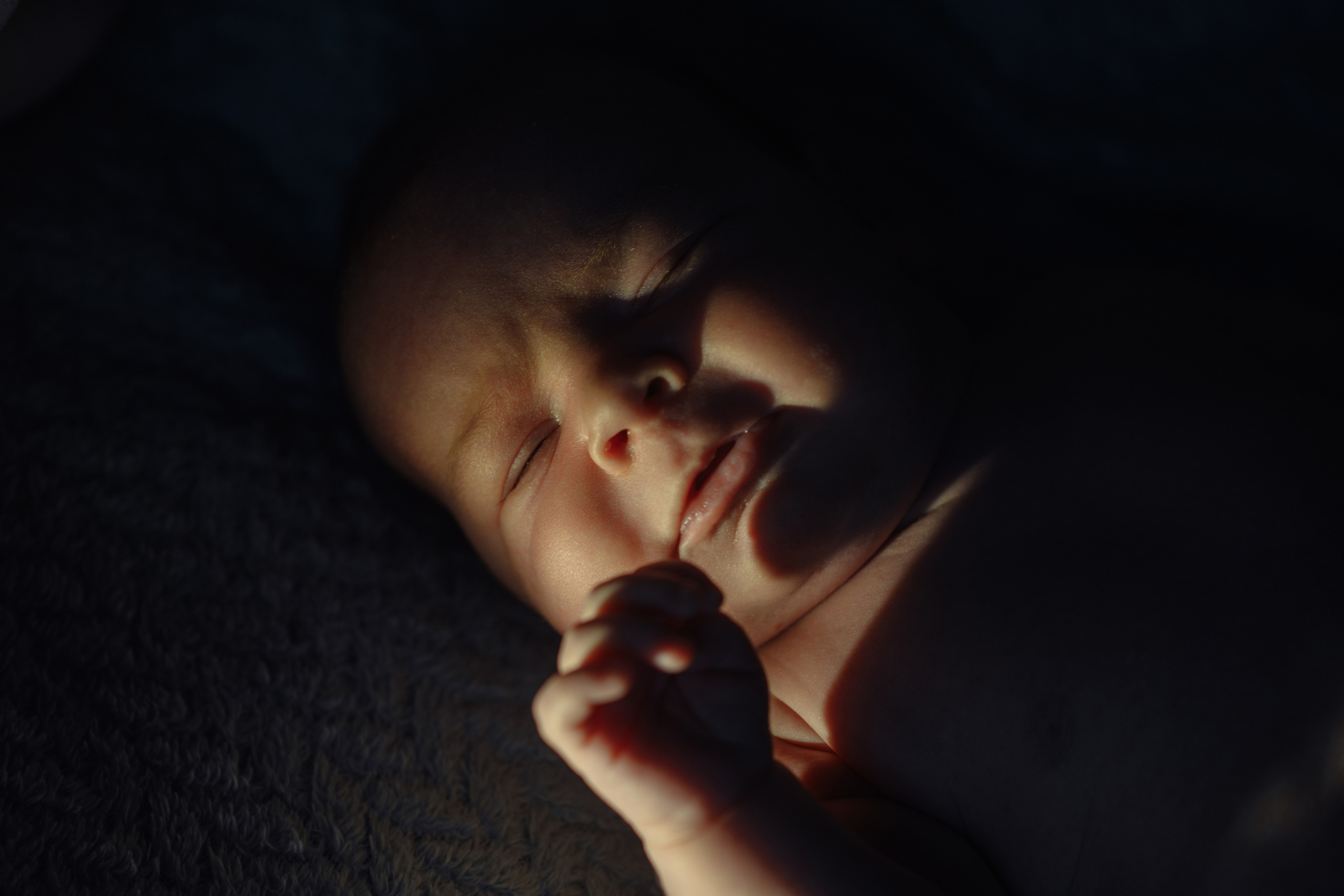 Карина, Андрей, Мирон, Мия. МАРГАРИТА КУДРЯШОВА СВАДЕБНЫЙ И СЕМЕЙНЫЙ ФОТОГРАФ ТВЕРЬ МОСКВА