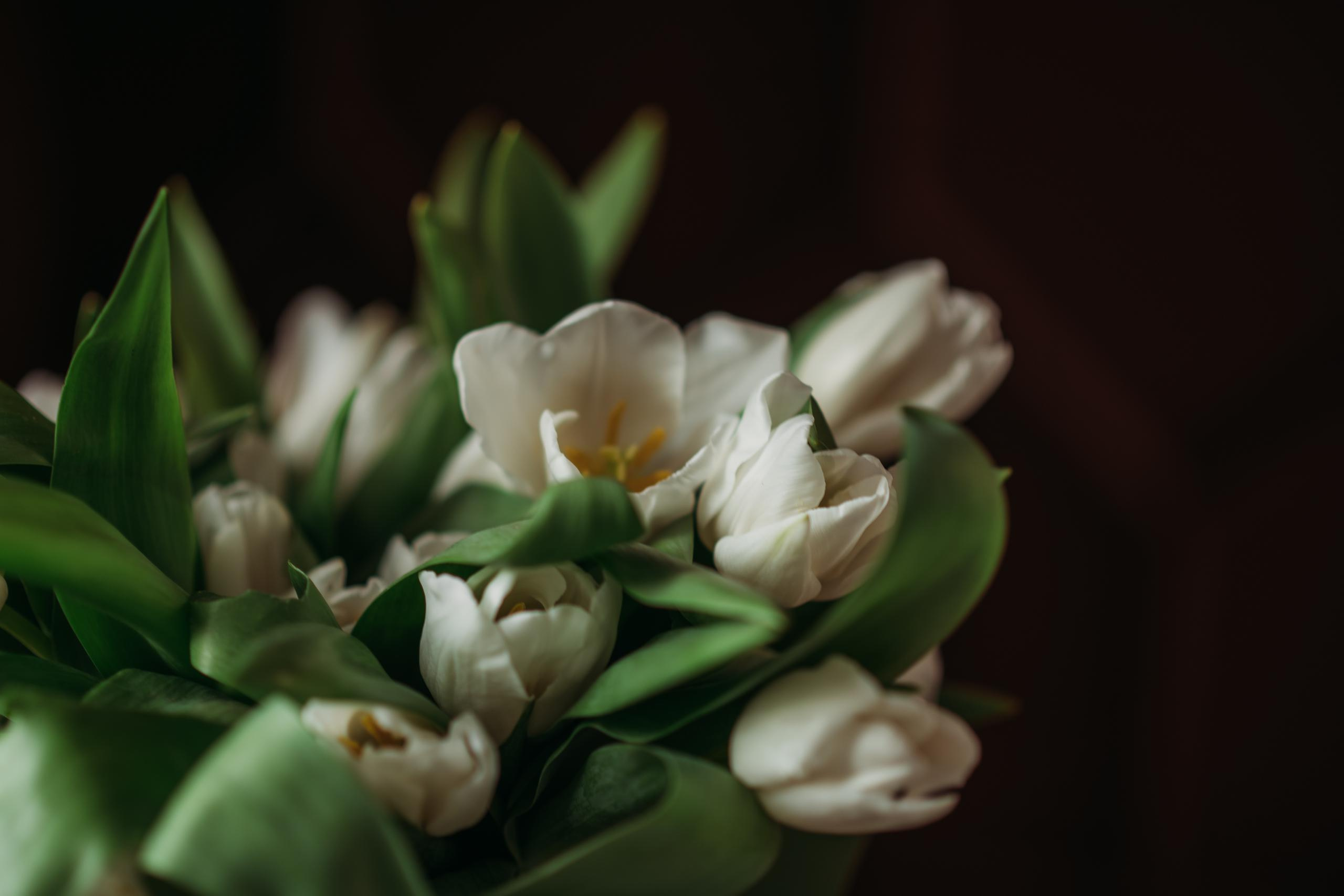 Полина. МАРГАРИТА КУДРЯШОВА СВАДЕБНЫЙ И СЕМЕЙНЫЙ ФОТОГРАФ ТВЕРЬ МОСКВА