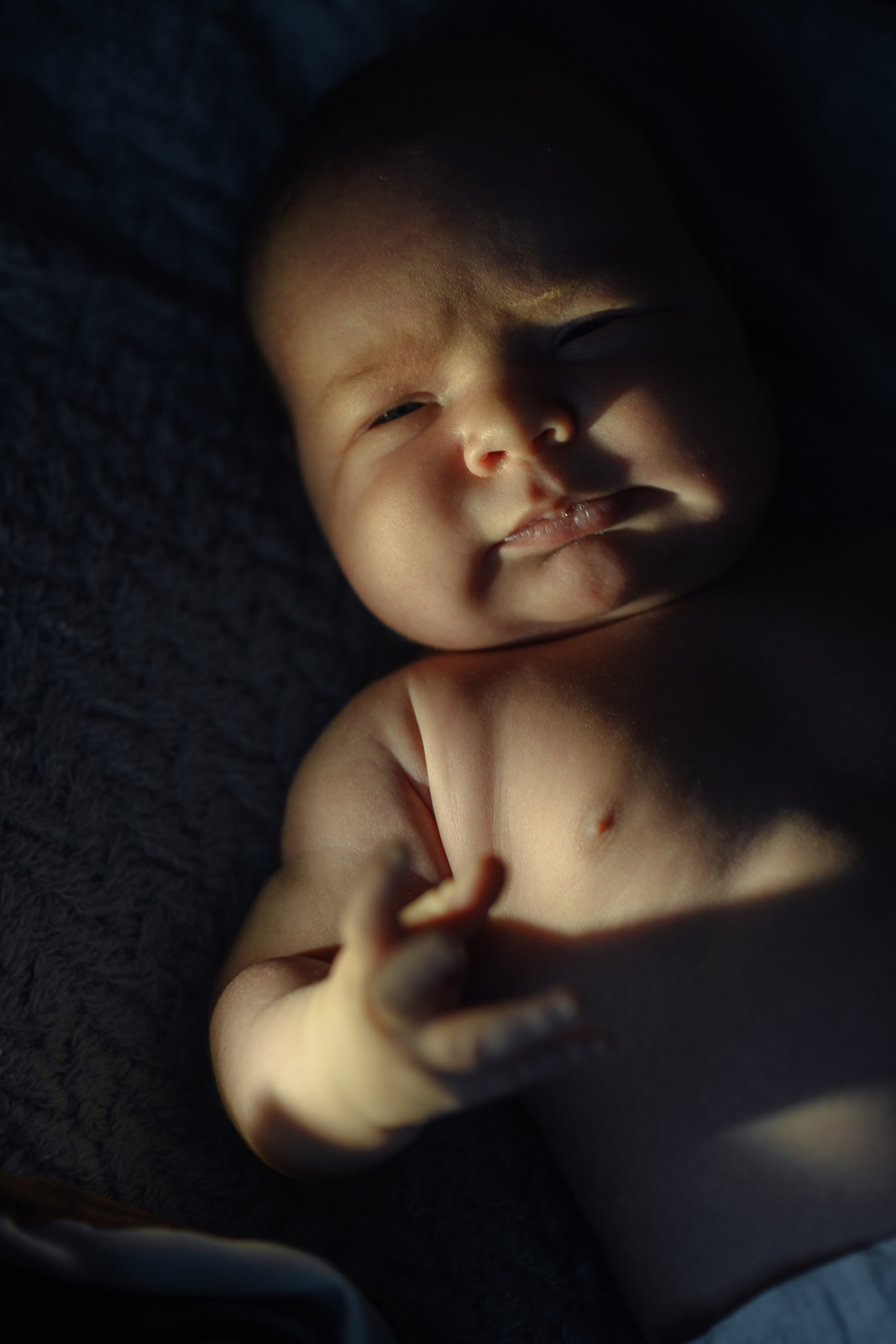 Карина, Андрей, Мирон, Мия. МАРГАРИТА КУДРЯШОВА СВАДЕБНЫЙ И СЕМЕЙНЫЙ ФОТОГРАФ ТВЕРЬ МОСКВА