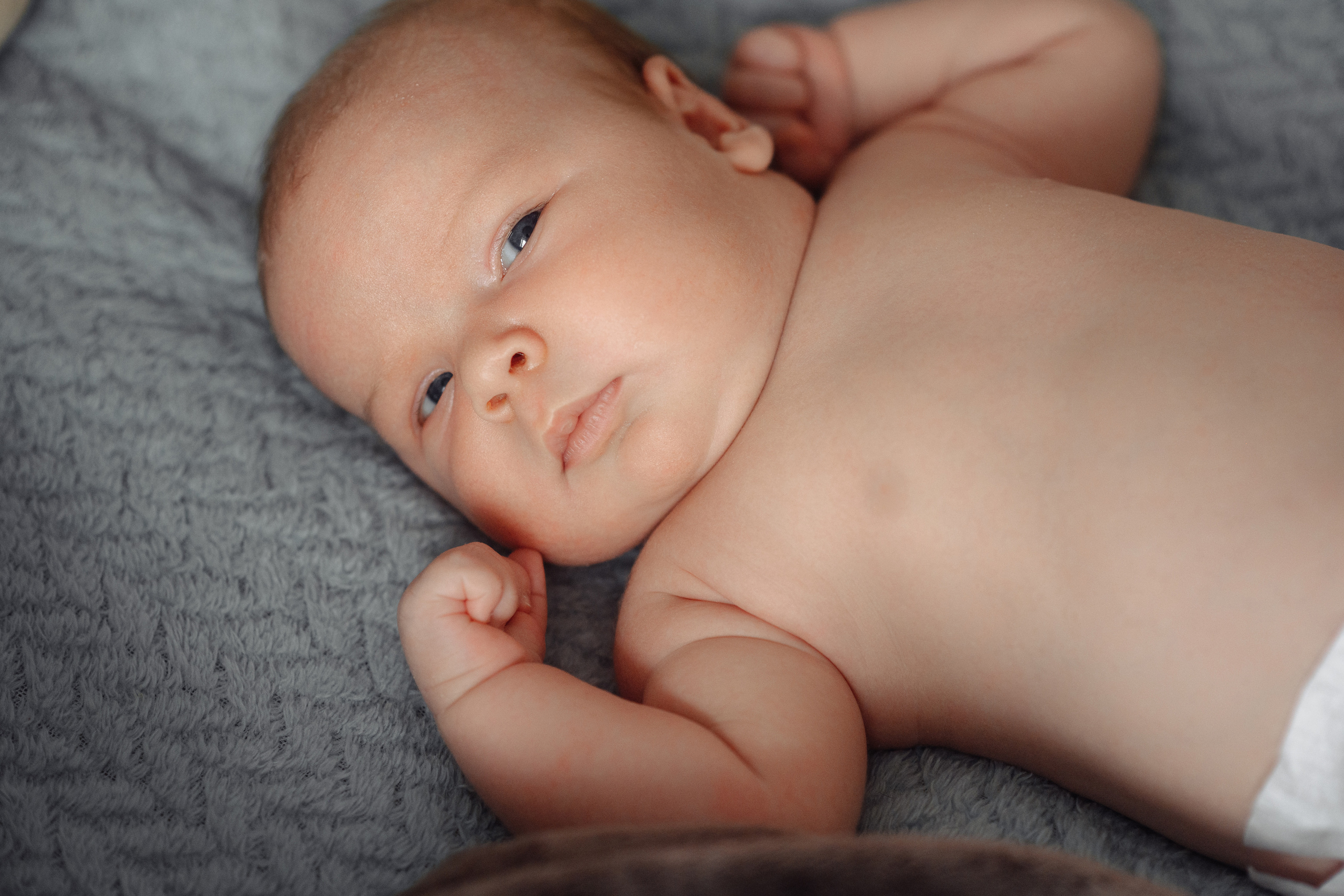 Карина, Андрей, Мирон, Мия. МАРГАРИТА КУДРЯШОВА СВАДЕБНЫЙ И СЕМЕЙНЫЙ ФОТОГРАФ ТВЕРЬ МОСКВА