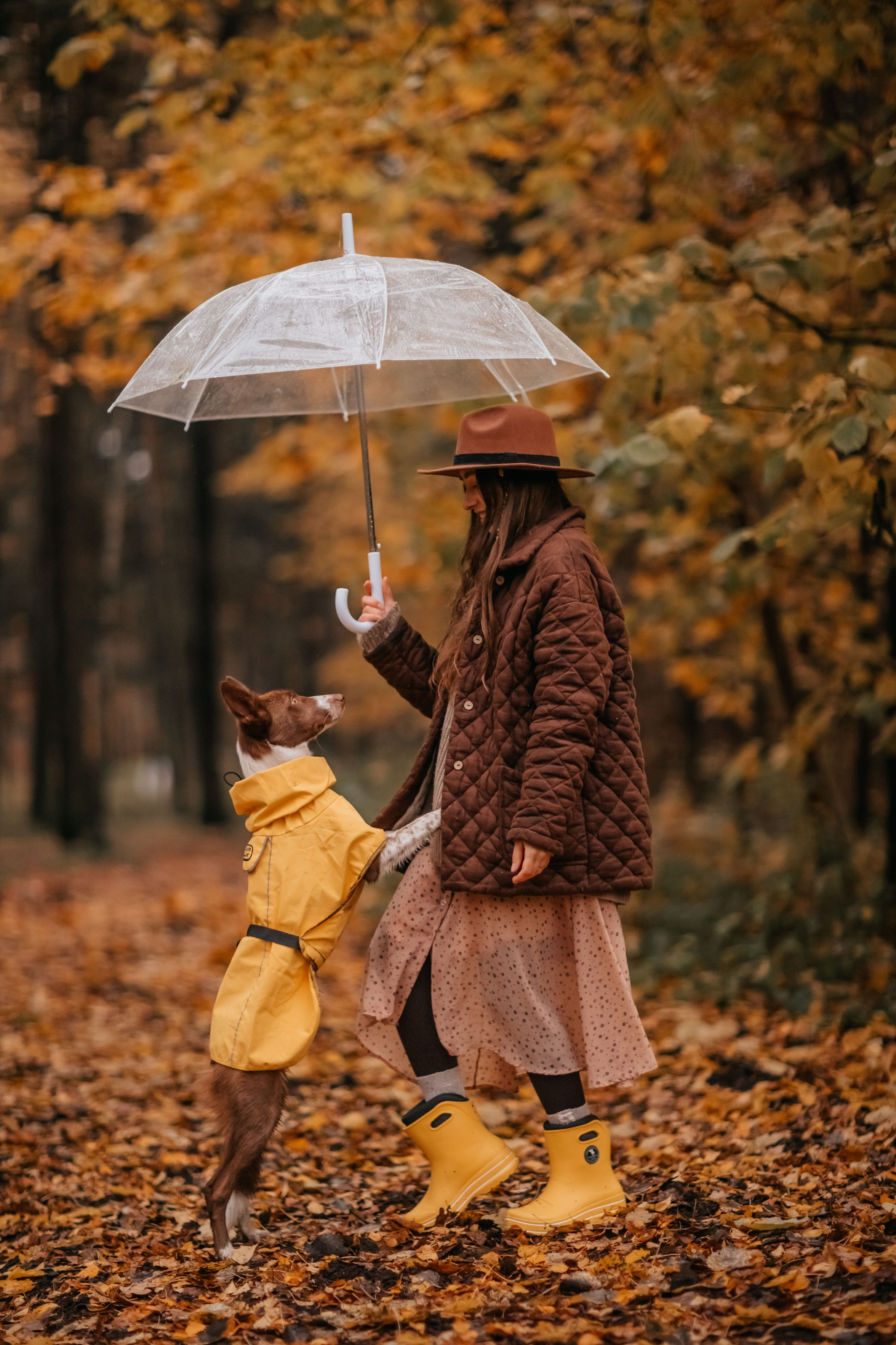 Марина и Энс в осеннем дождливом лесу. Семейный фотограф анималист Мария Крючкова