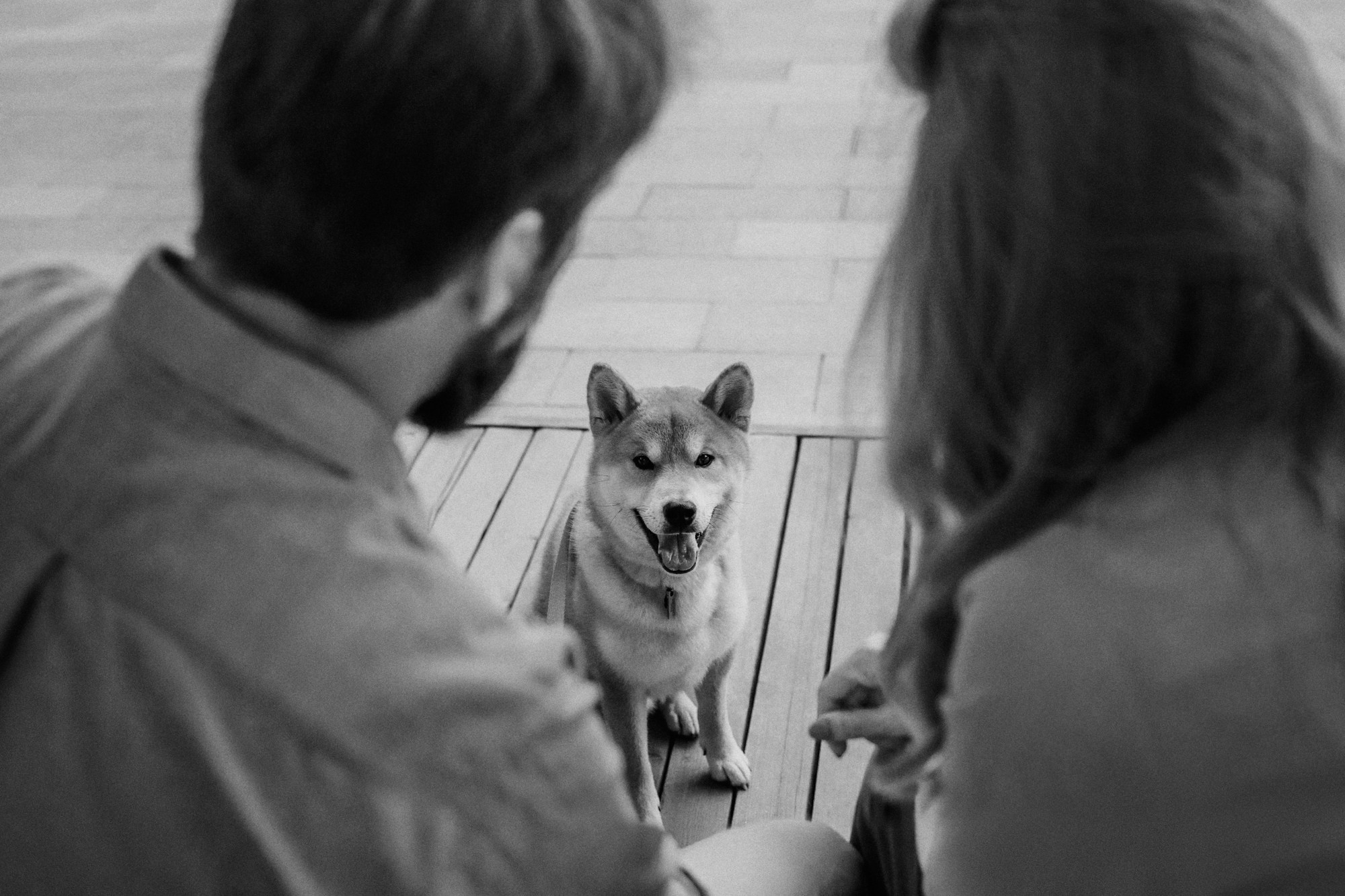 Аня, Влад и Ики. Фотограф-анималист Елена Радченко, Москва