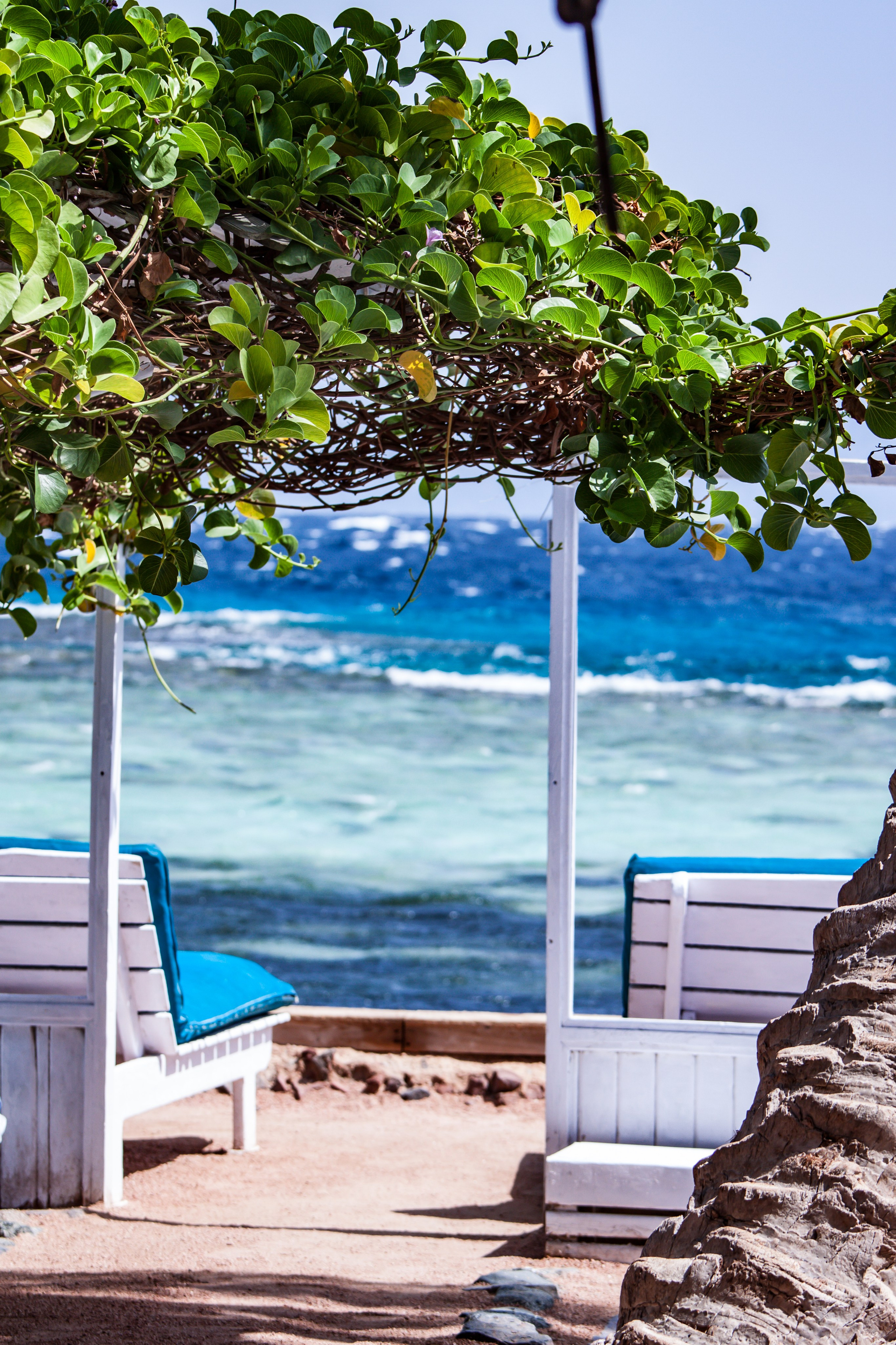 DAHABibi. Дария Галямова — фотограф: открытый, творческий, коммерческий